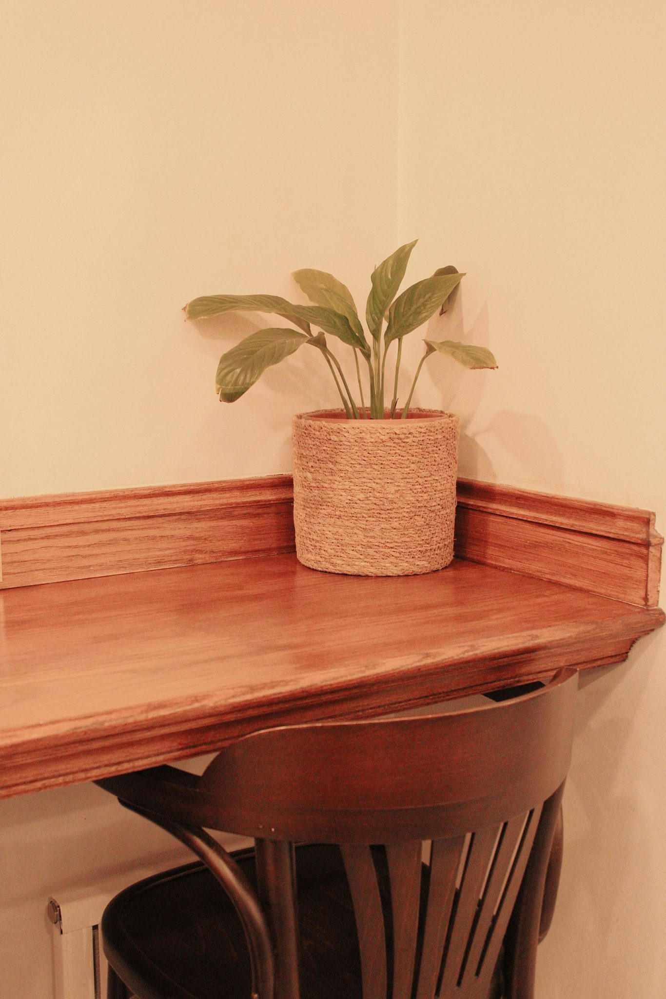 A cozy indoor corner featuring a wooden desk and a potted plant on top, perfect for serene home decor.