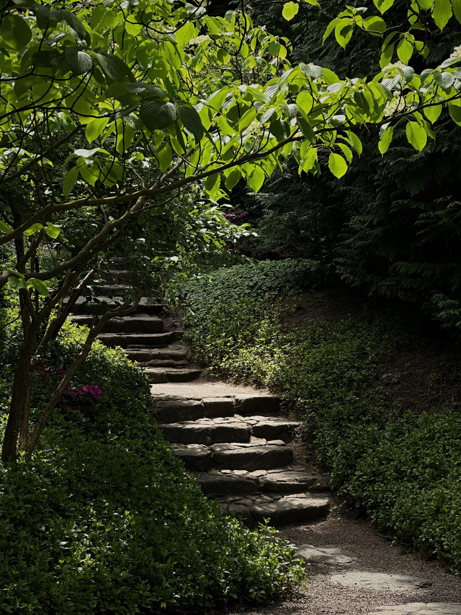 A peaceful garden path adorned with natural stone steps, surrounded by lush greenery.