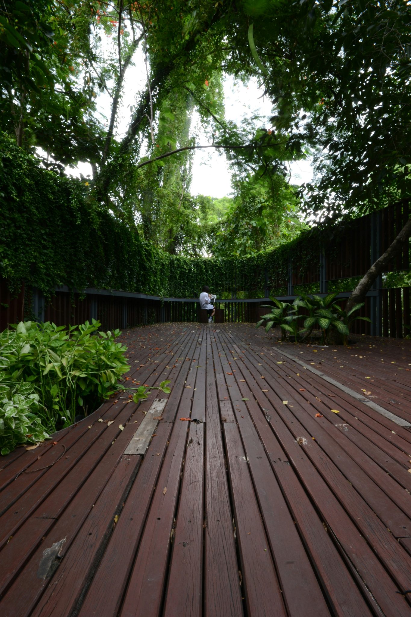 a person is walking on a wooden walkway