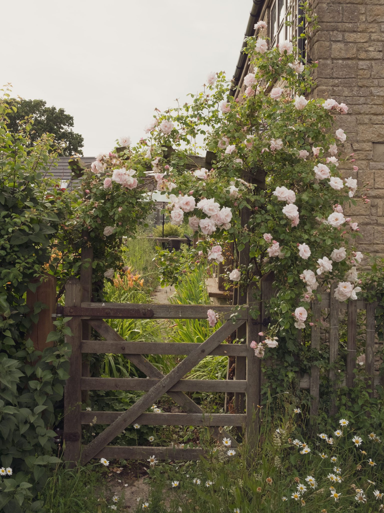 A picturesque garden gate adorned with climbing roses in Malmesbury, England.