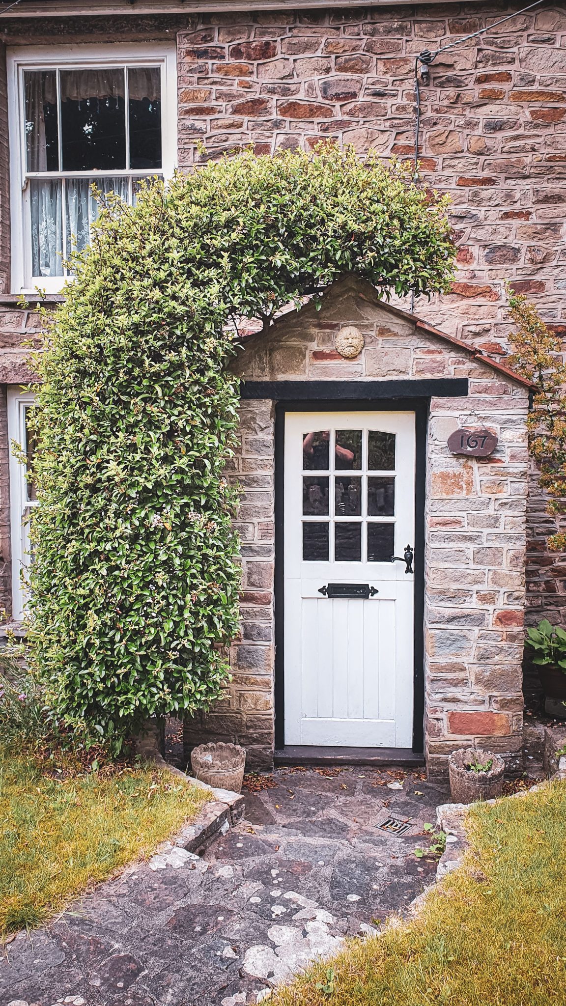 A picturesque stone cottage in Bristol with a lush climbing plant framing the door.