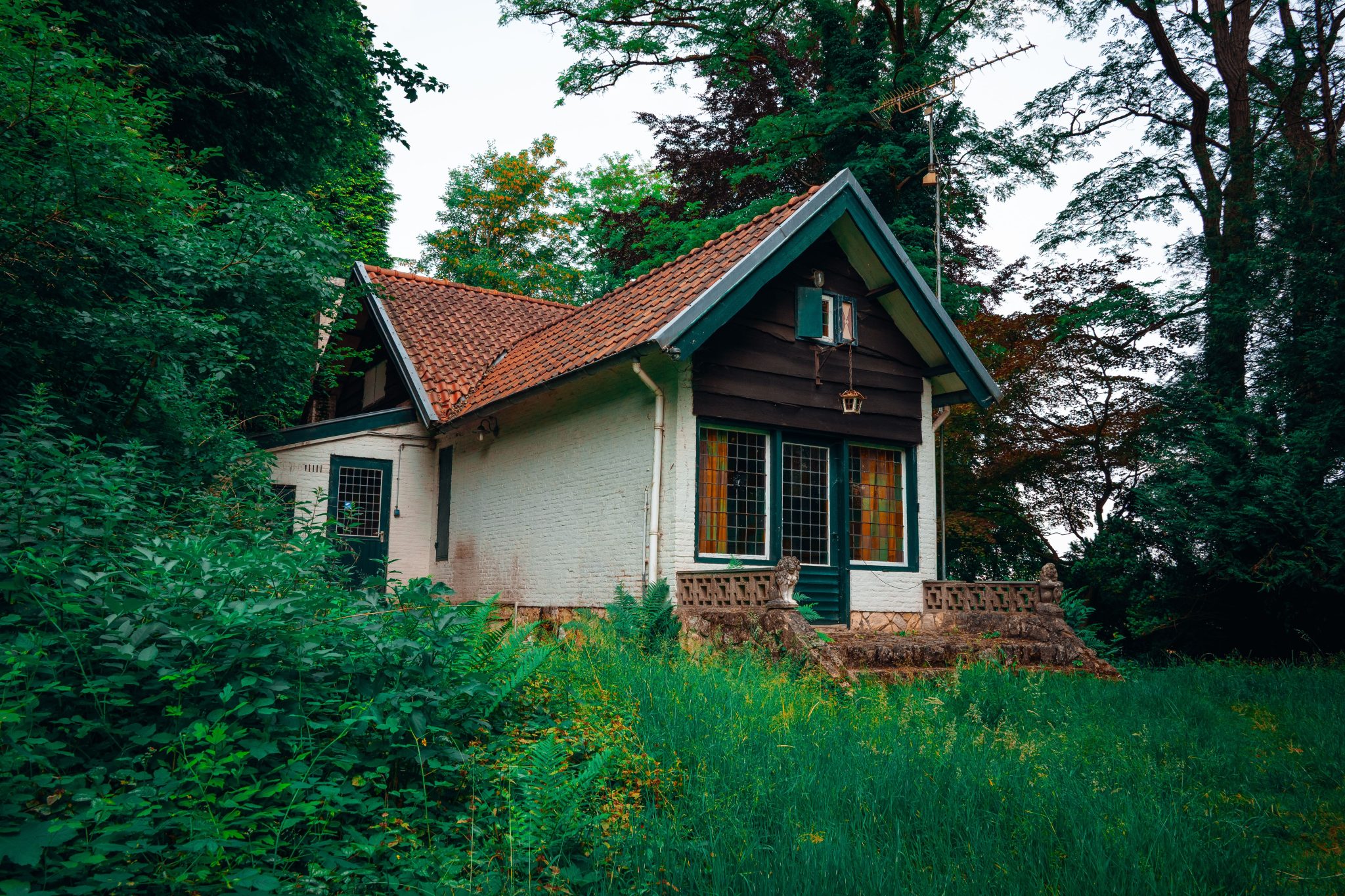A quaint cottage surrounded by lush greenery in a serene forest setting, ideal for retreat seekers.