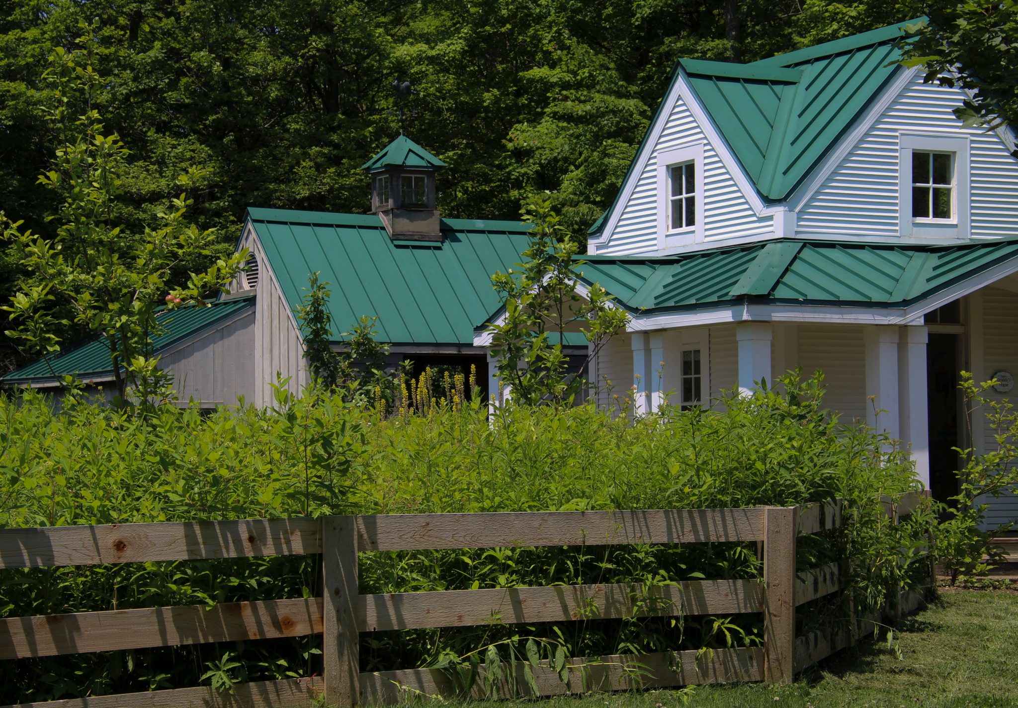 A quaint cottage with a green metal roof surrounded by lush greenery and rustic wooden fence.