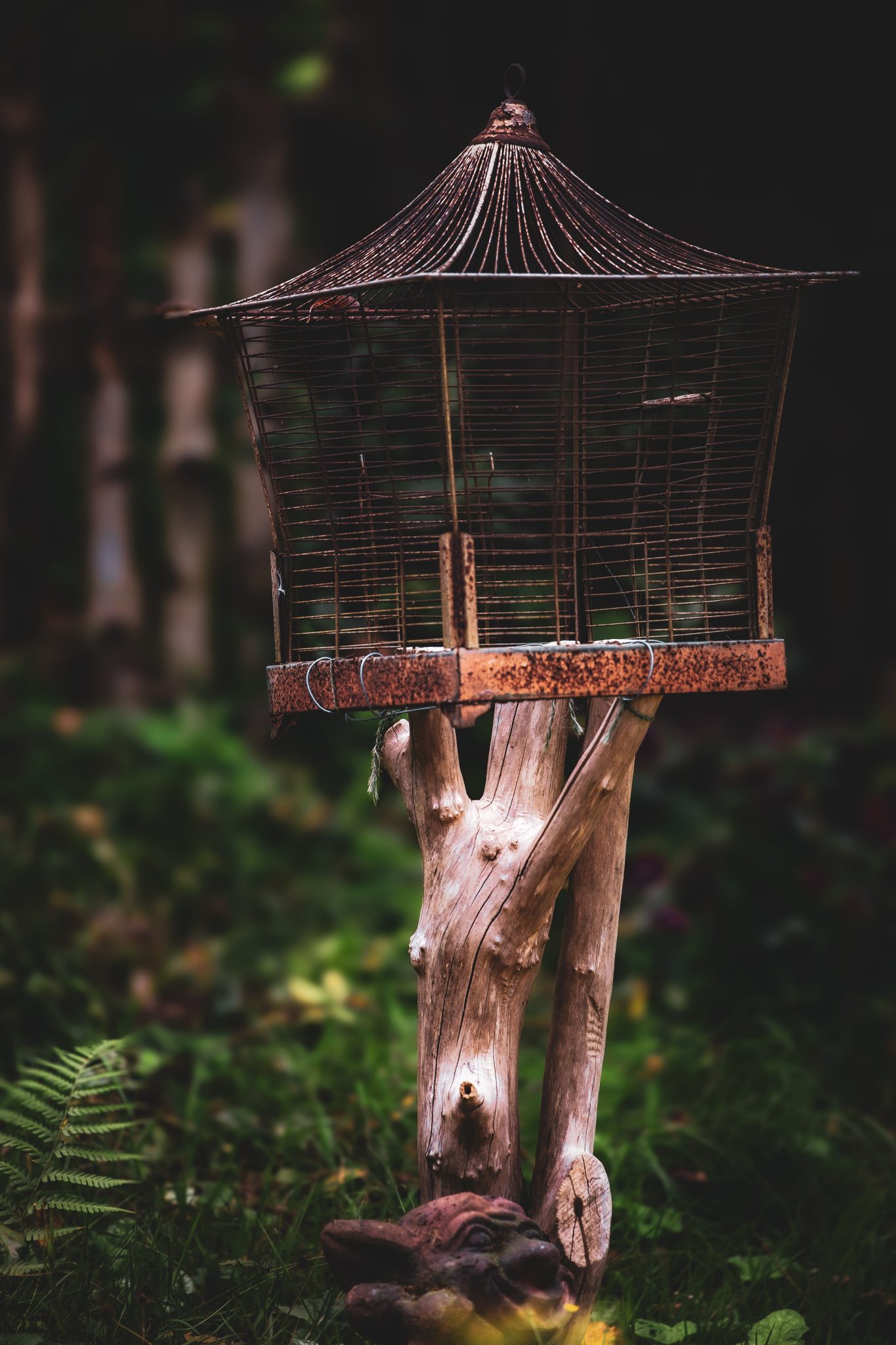 A rustic birdhouse with a wooden post amidst lush greenery, creating a serene garden ambiance.