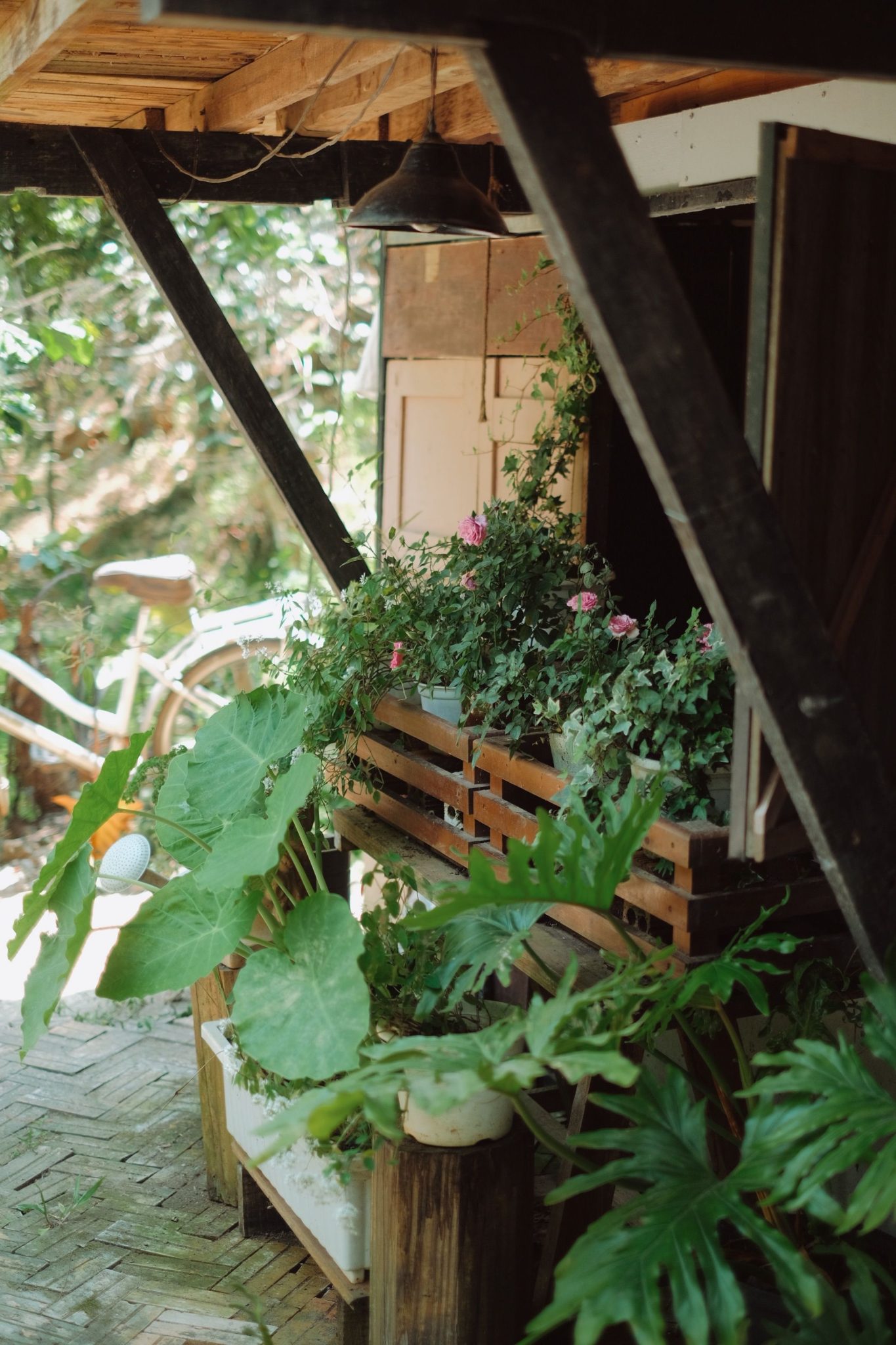 A rustic porch adorned with plants and a vintage bicycle, exuding a serene atmosphere.