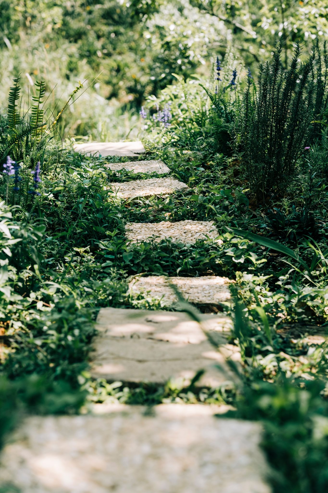 A serene stone pathway surrounded by vibrant greenery in a sunlit garden.
