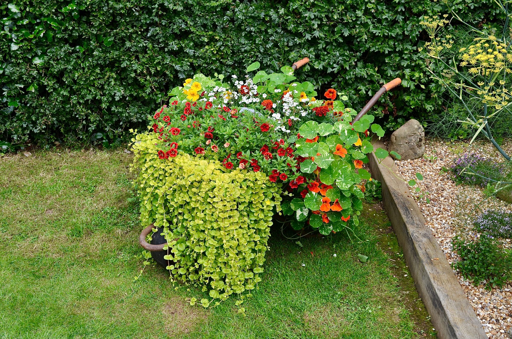 A vibrant display of flowers in a rustic wheelbarrow set in a lush garden on a bright day.