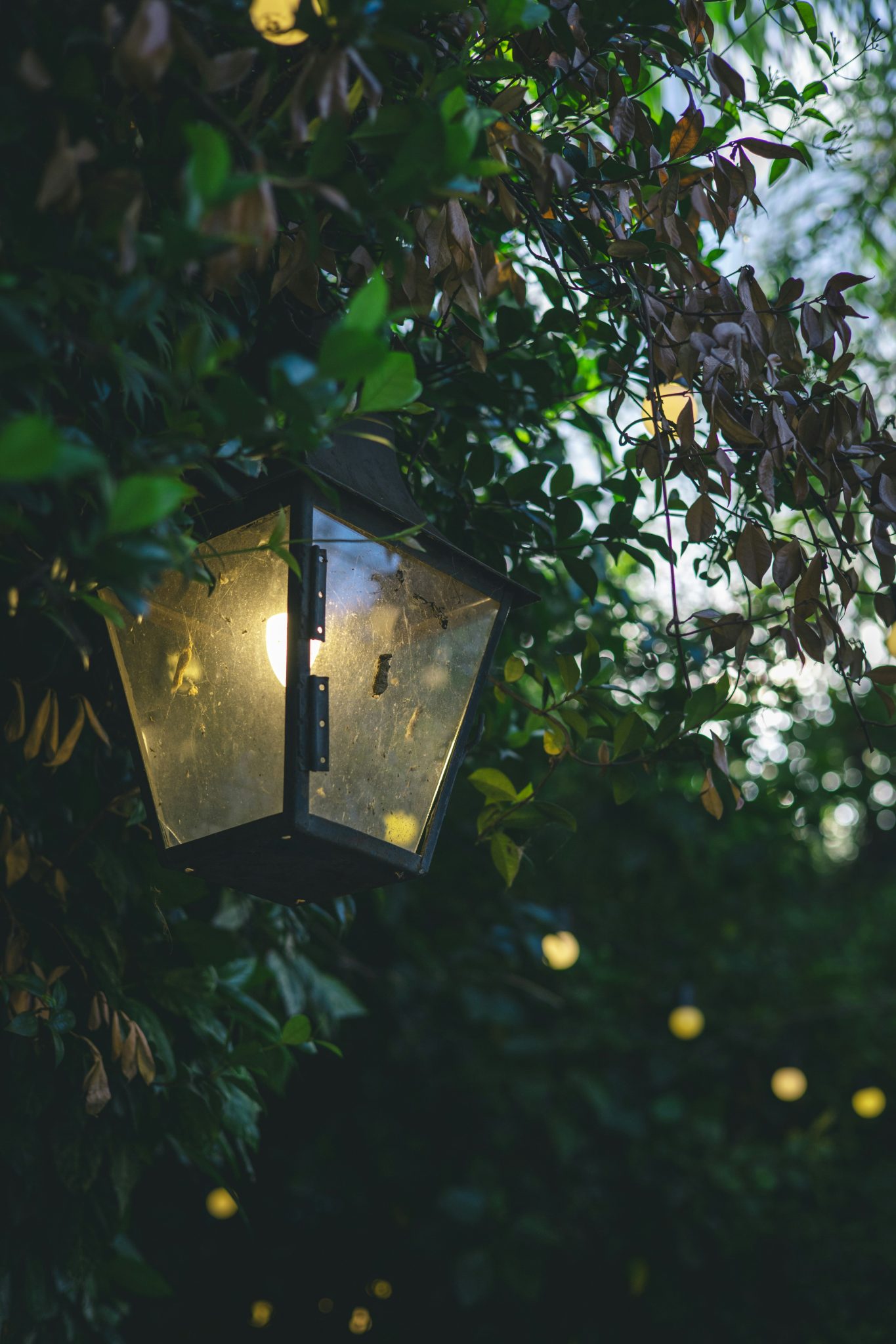 A vintage lantern hangs among lush green foliage at dusk.