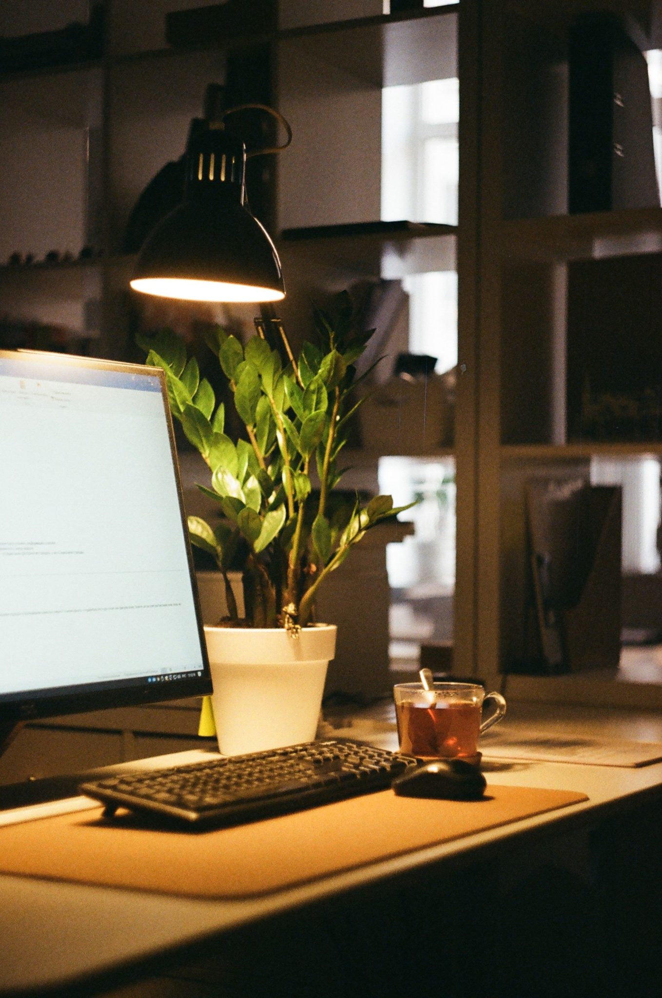 A warm-lit desk with a computer, lamp, plant, and tea cup in an office setup.