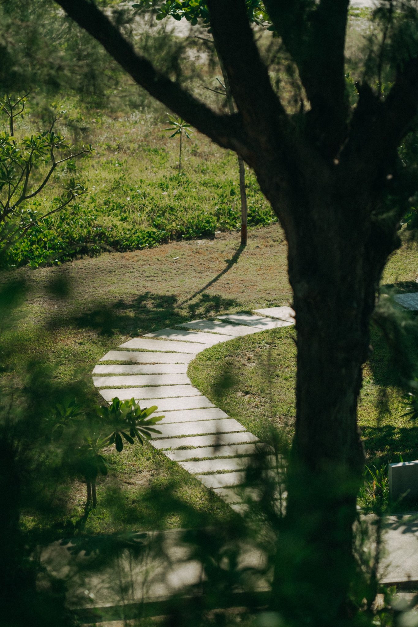 A winding stone pathway through a tranquil garden, surrounded by trees and lush greenery under soft daylight.