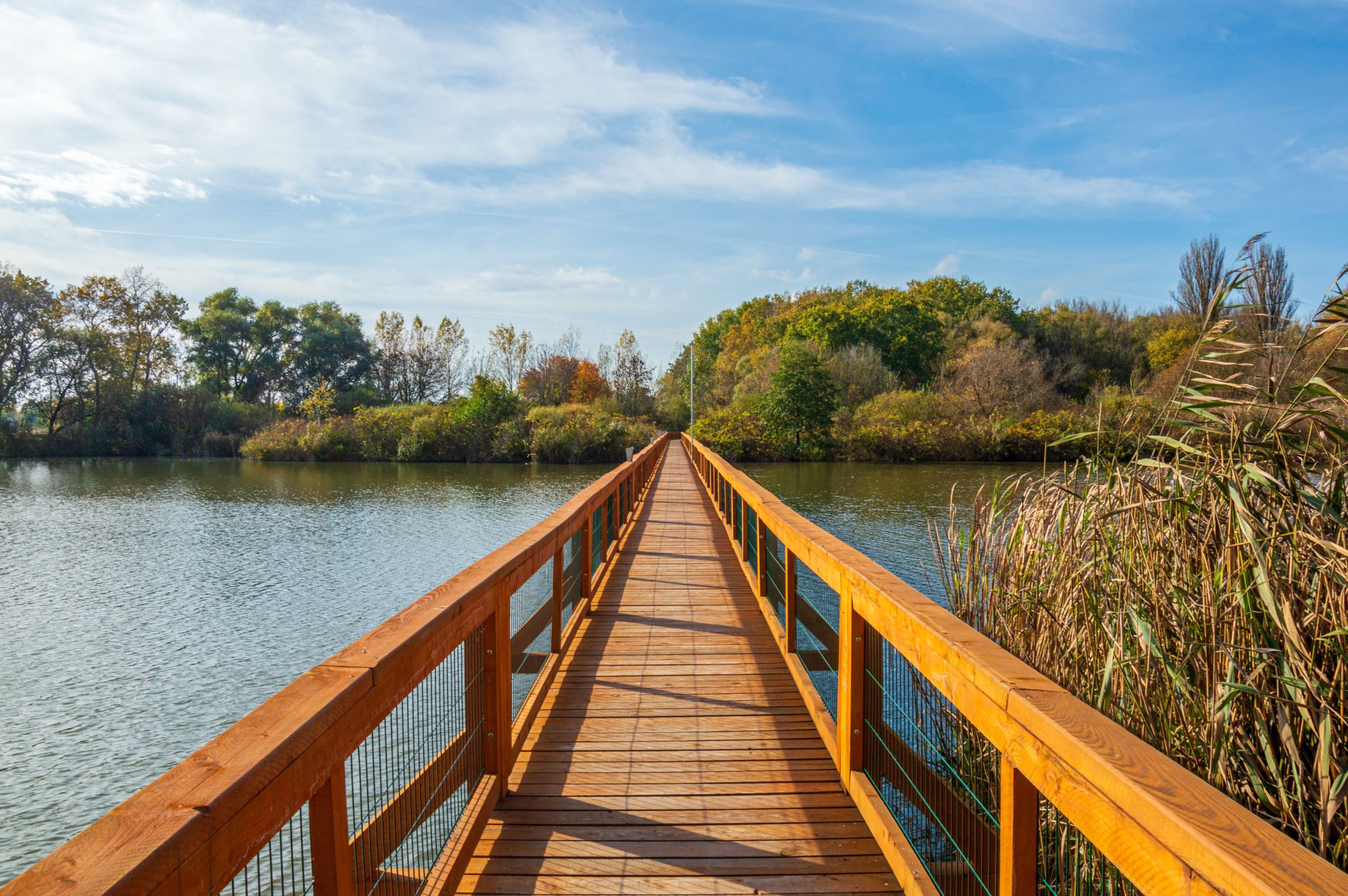 A wooden boardwalk stretches over a calm lake with lush fall trees.