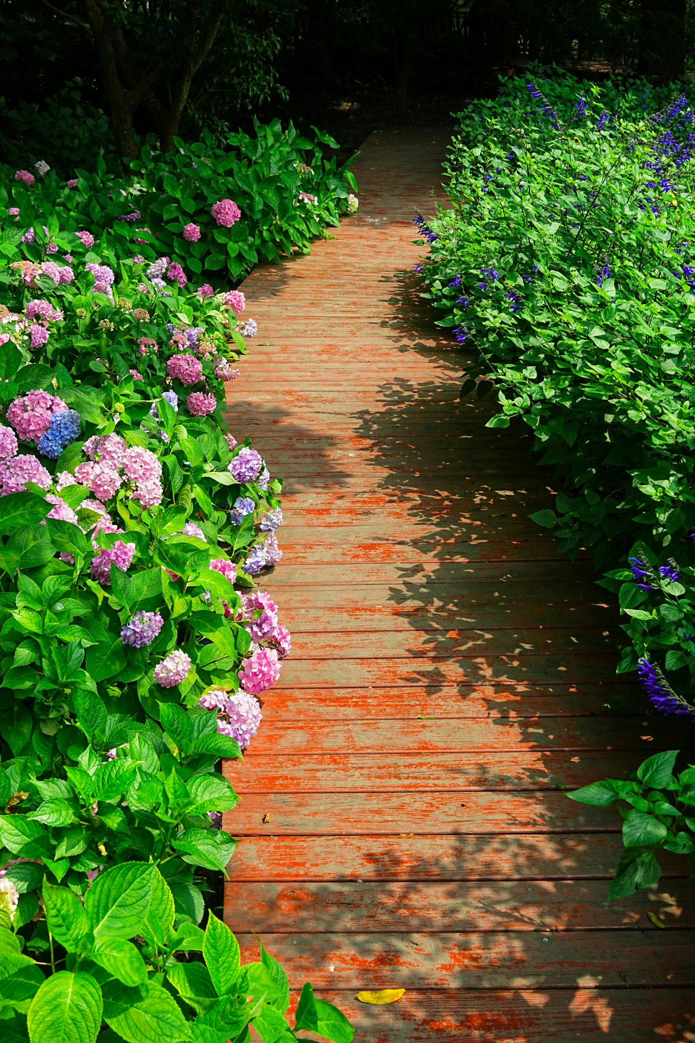 A wooden walkway surrounded by colorful flowers and greenery