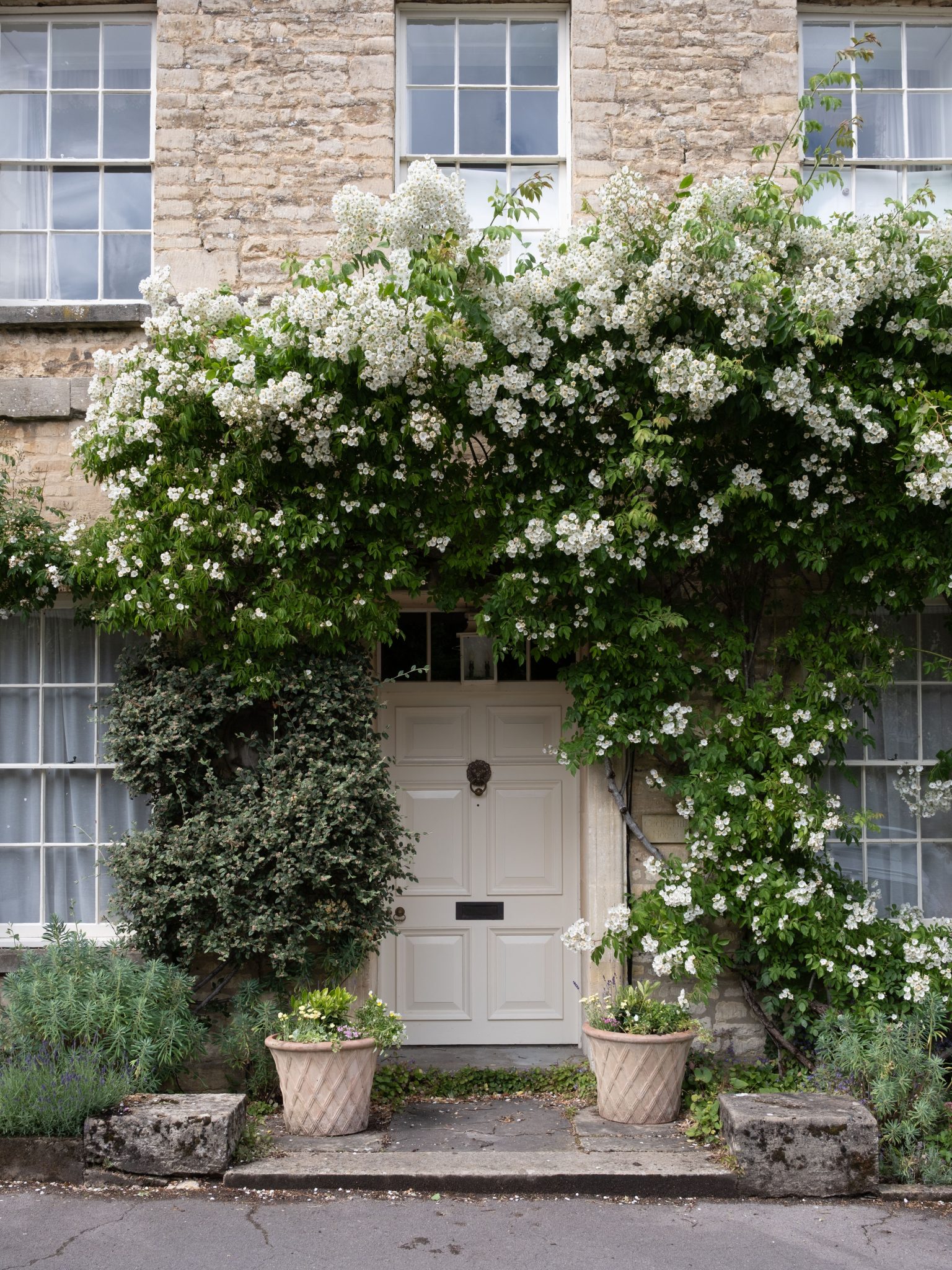 Beautiful stone cottage covered with lush white climbing roses in Cirencester, England.