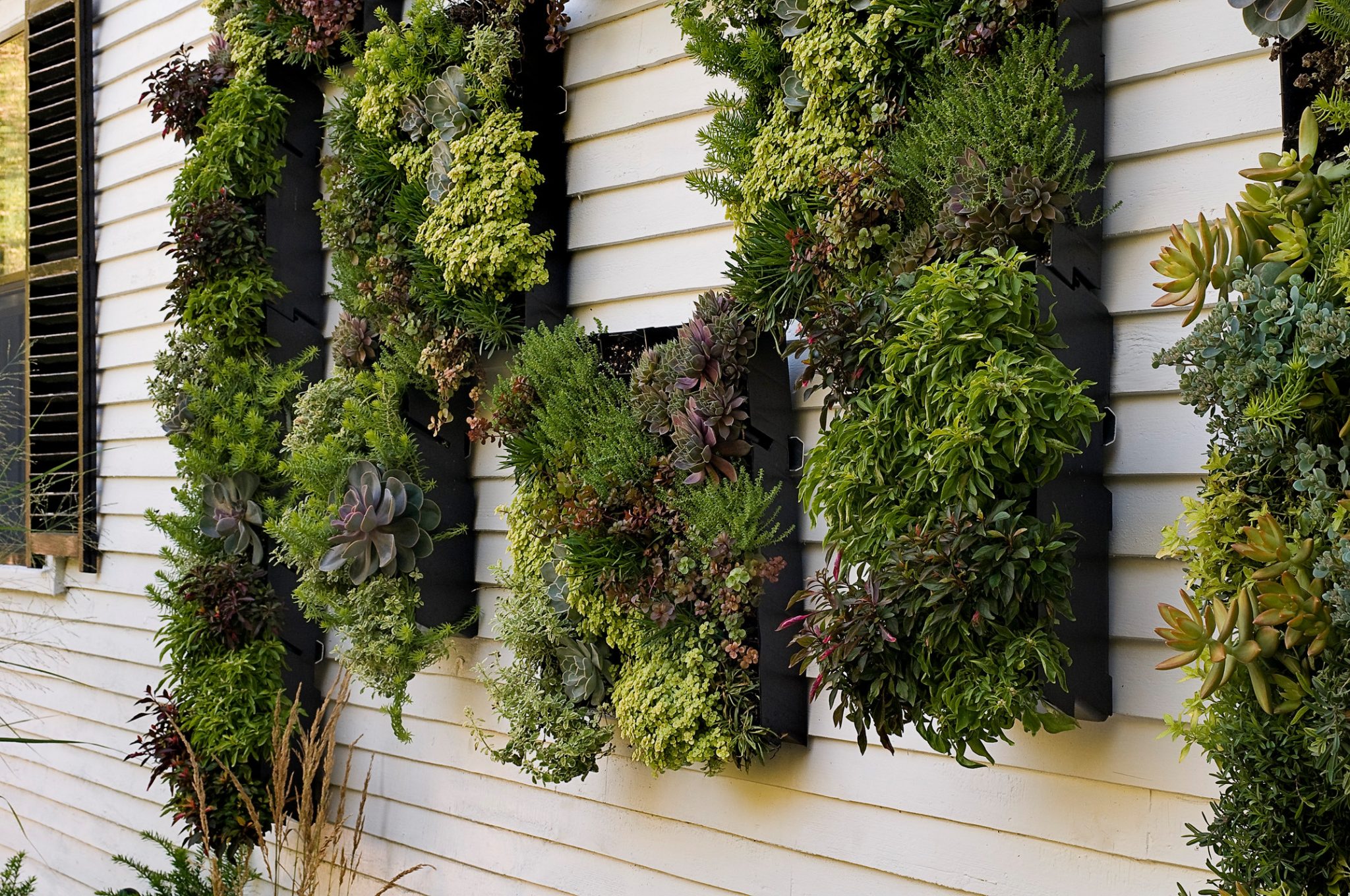 Bring Your Home Alive With a Vertical Garden – Indoors or Out | Houzz IE