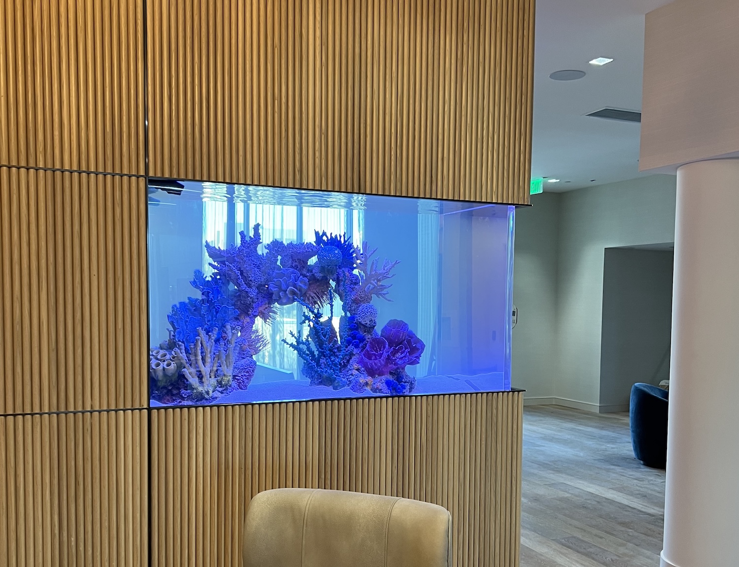 CA Custom Aquariums