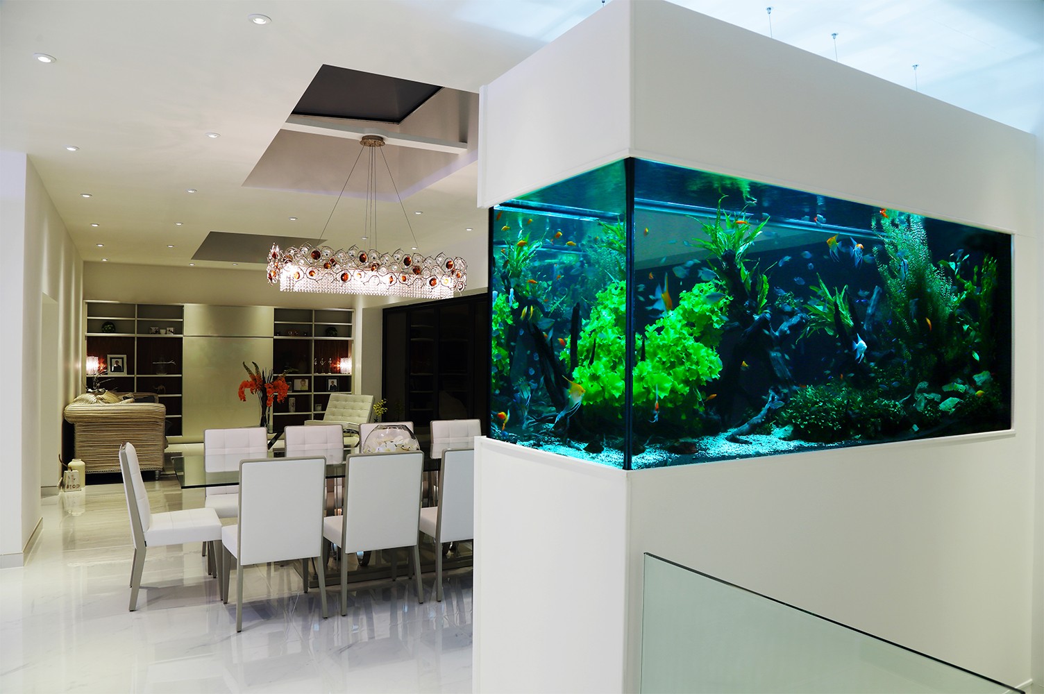 CA Custom Aquariums