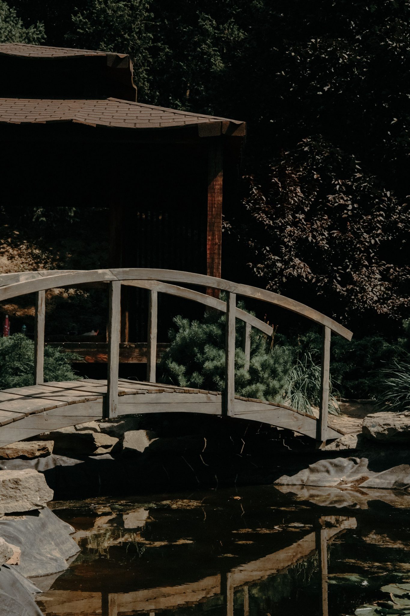 Calm scene of a wooden bridge over a pond, surrounded by lush greenery in a park.