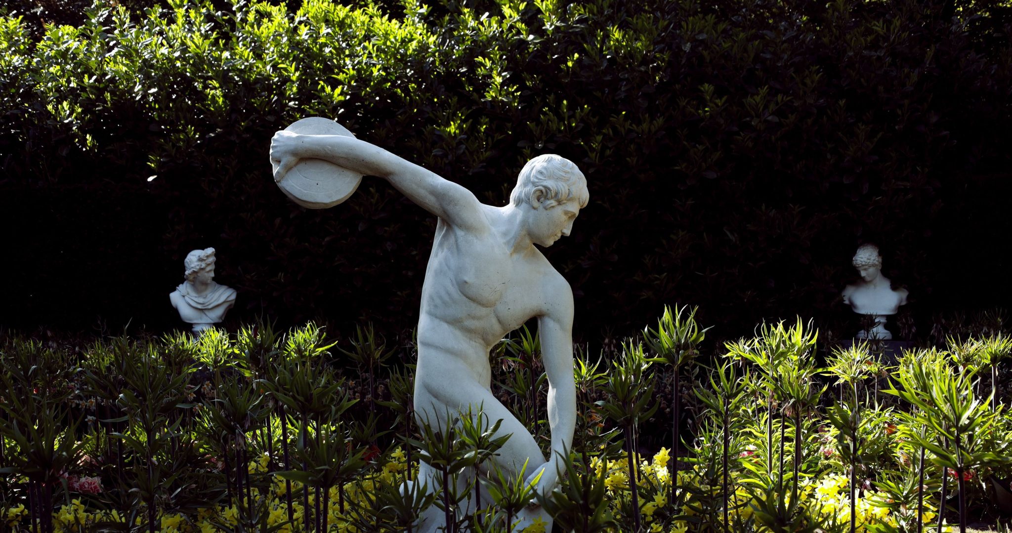 Classic Discobolus statue amidst greenery, capturing timeless elegance of sculpture art.