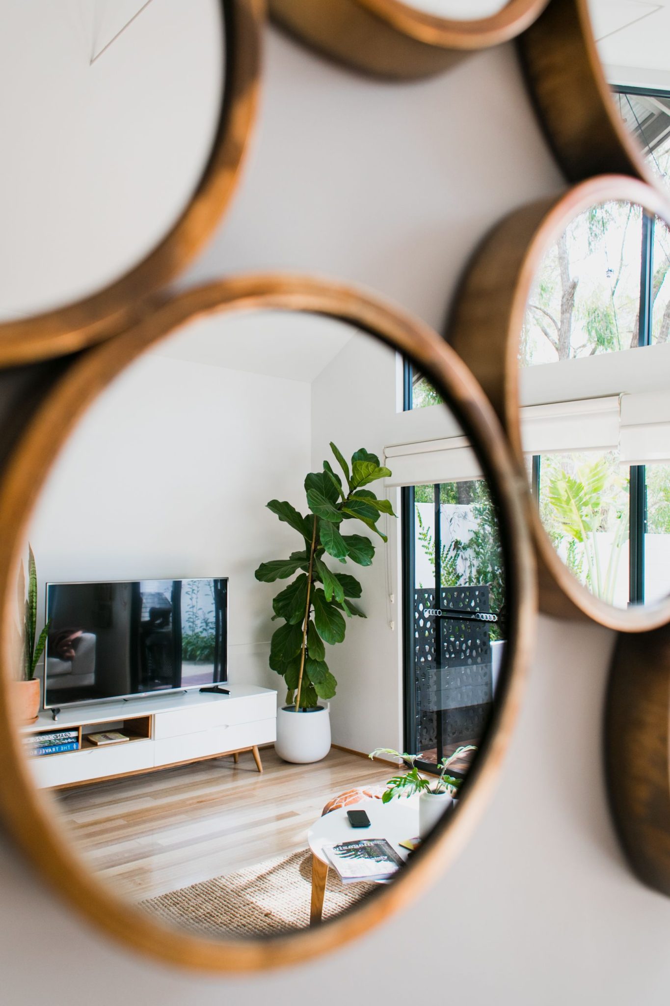 Contemporary apartment with round shaped wooden mirrors reflecting modern interior with green potted plant in daylight