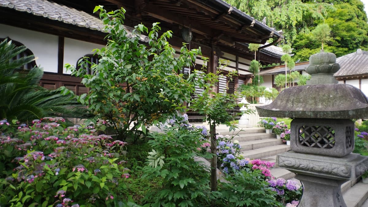 Create a tropical garden: jungle vibes in your own backyard | GardenWorld