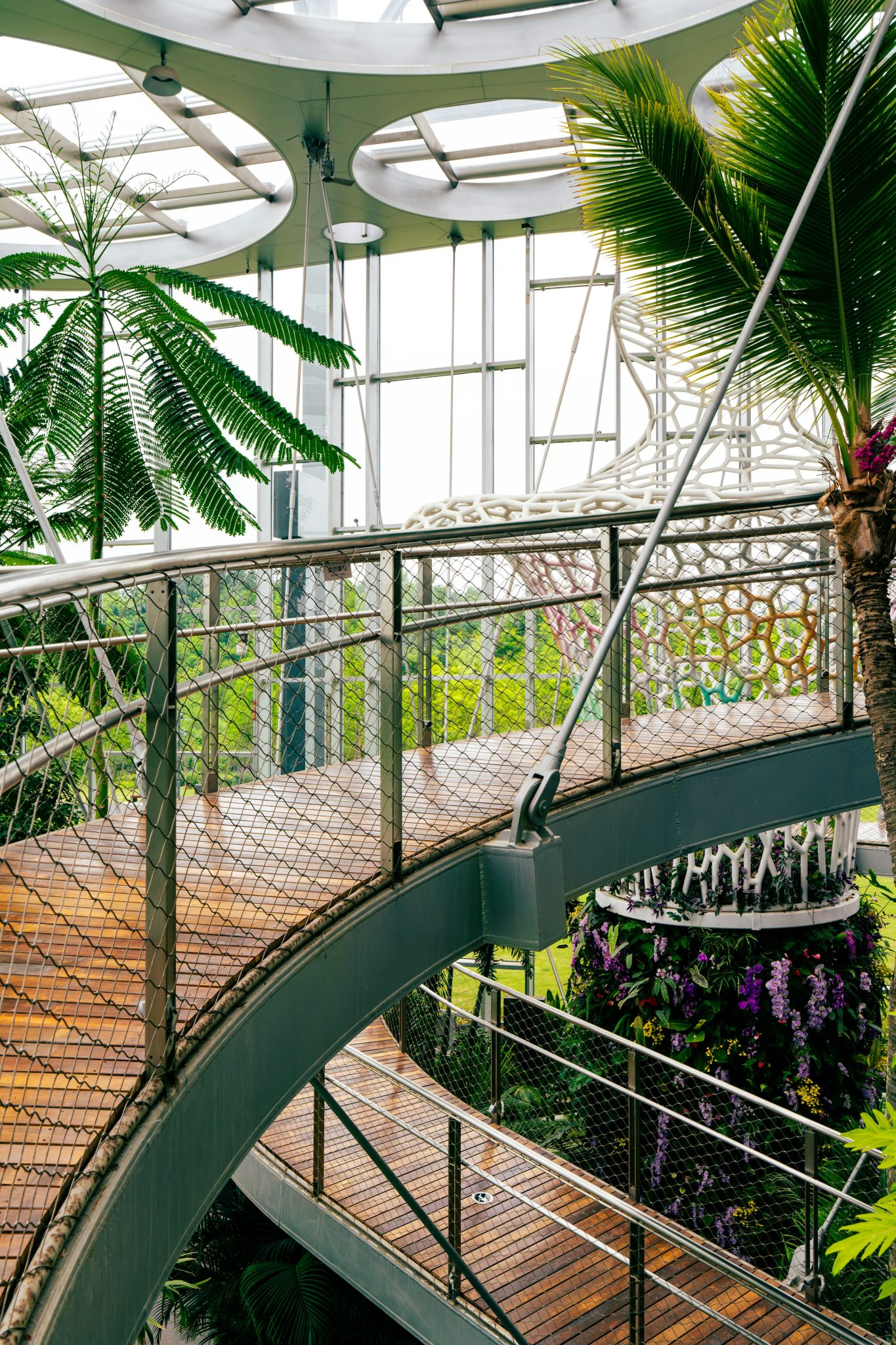 Curved wooden walkway in a modern botanical garden. photo – Free Architecture Image on Unsplash