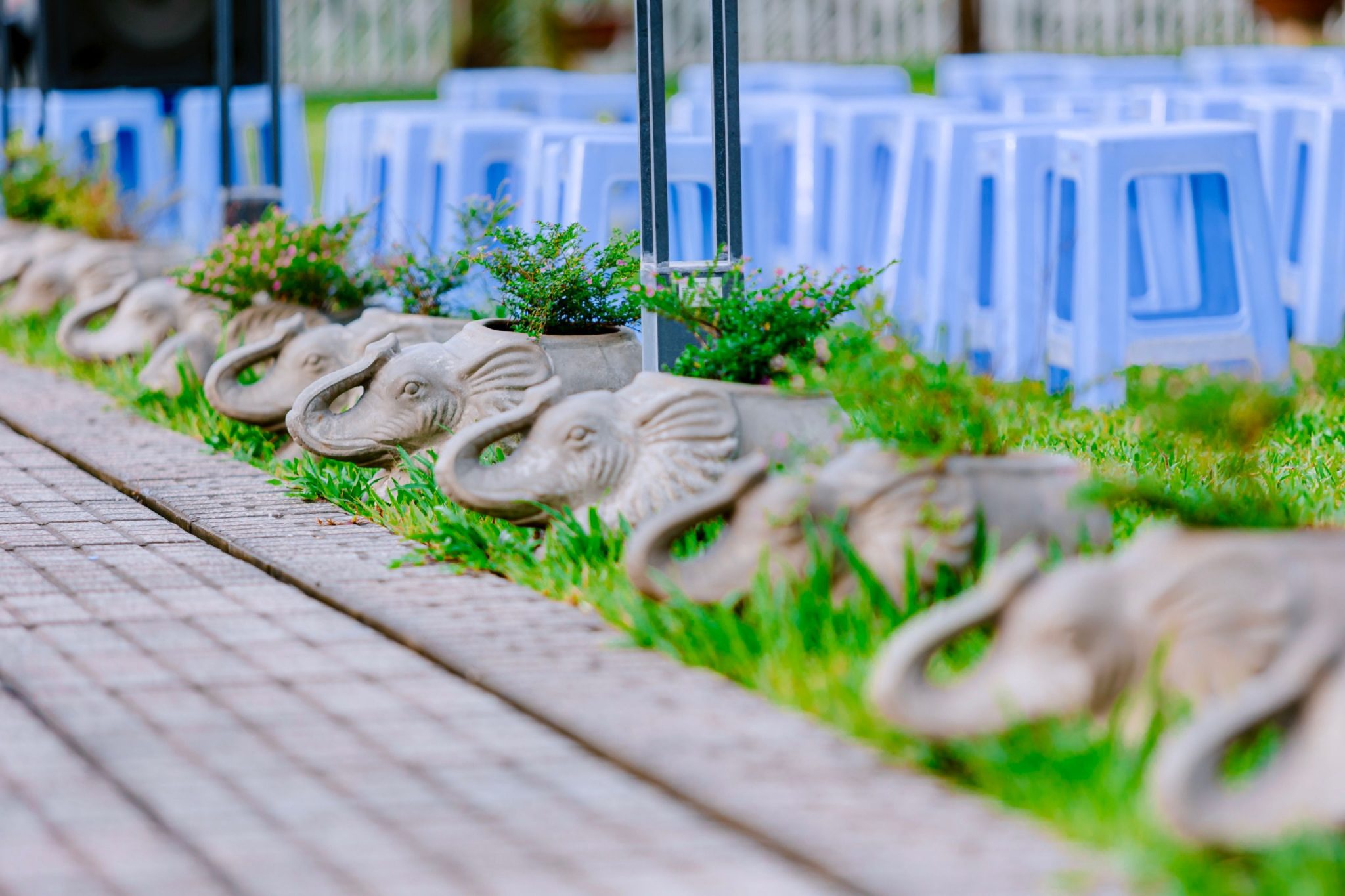 Decorative elephant planters next to blue chairs arranged outdoors on grass in summer.