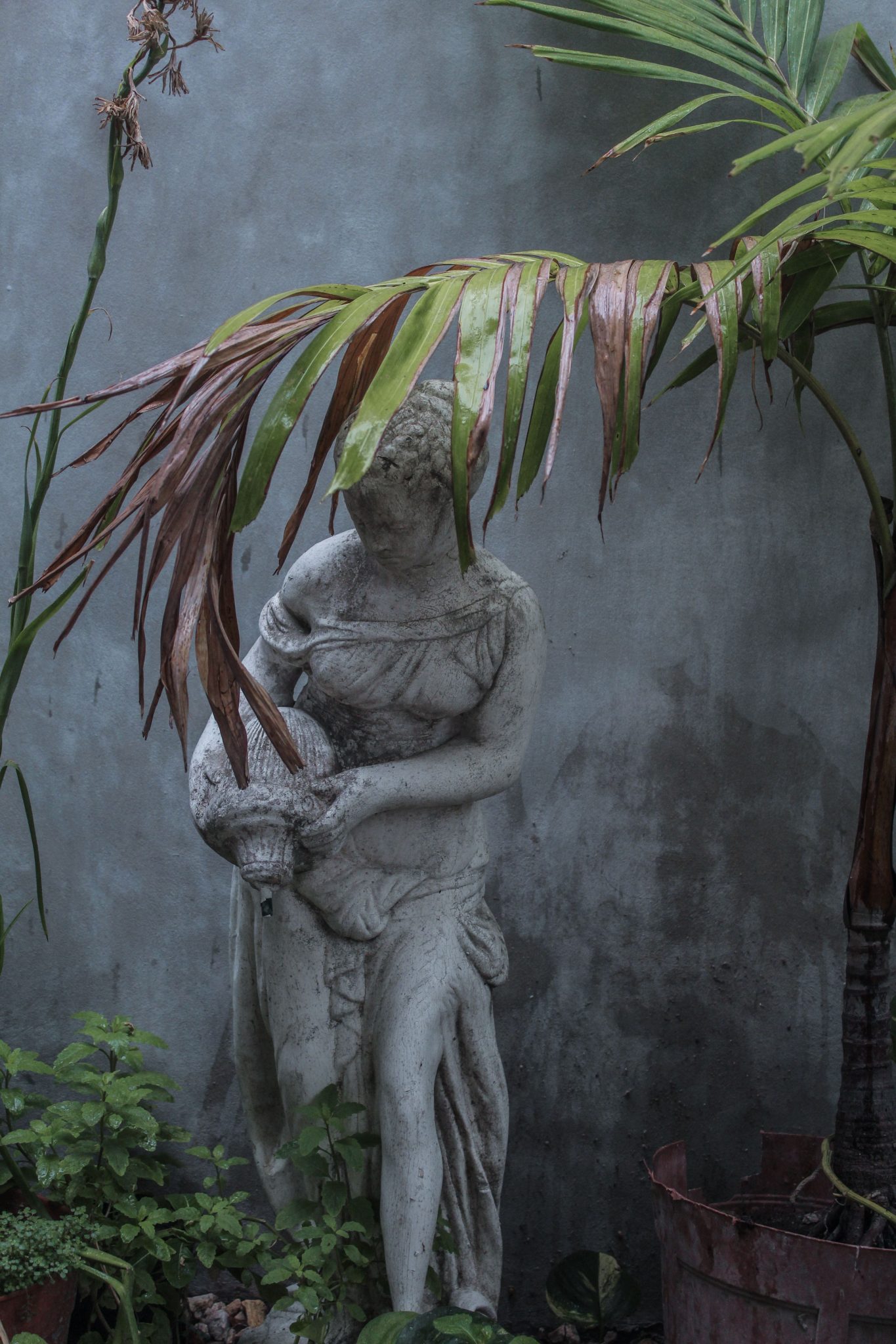 Elegant stone statue surrounded by lush green plants in a tranquil garden.