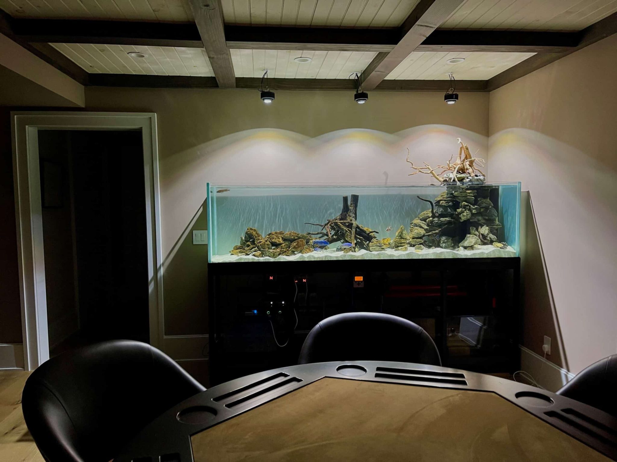 Exploring Custom Aquarium Ecosystems | Fluid Dynamics International