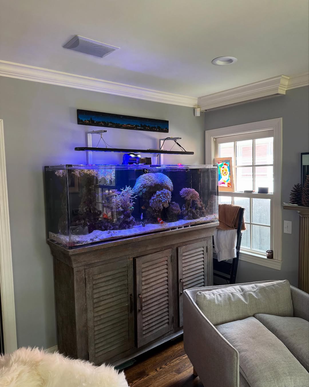 Fish Aquarium In Living Room 25 Fish Tank Living Room Ideas Homeowners Choose When They Want