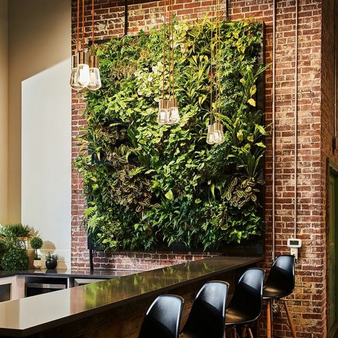 Frameless Living Wall System — Indoor & Outdoor | Botanical Boys