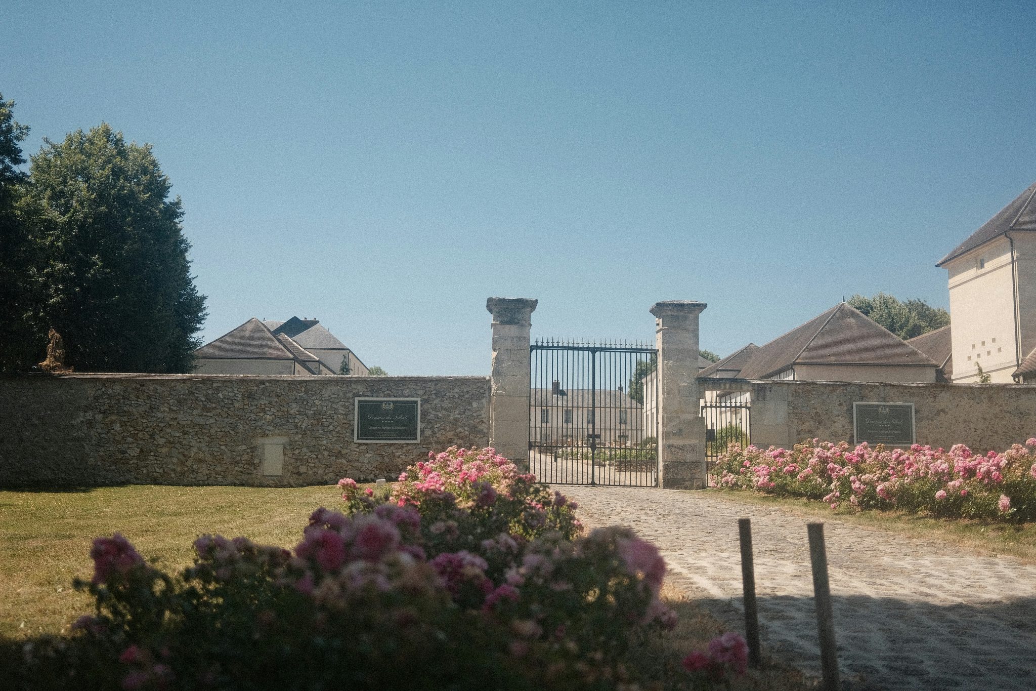 Historic stone gate with pink roses and distant buildings.