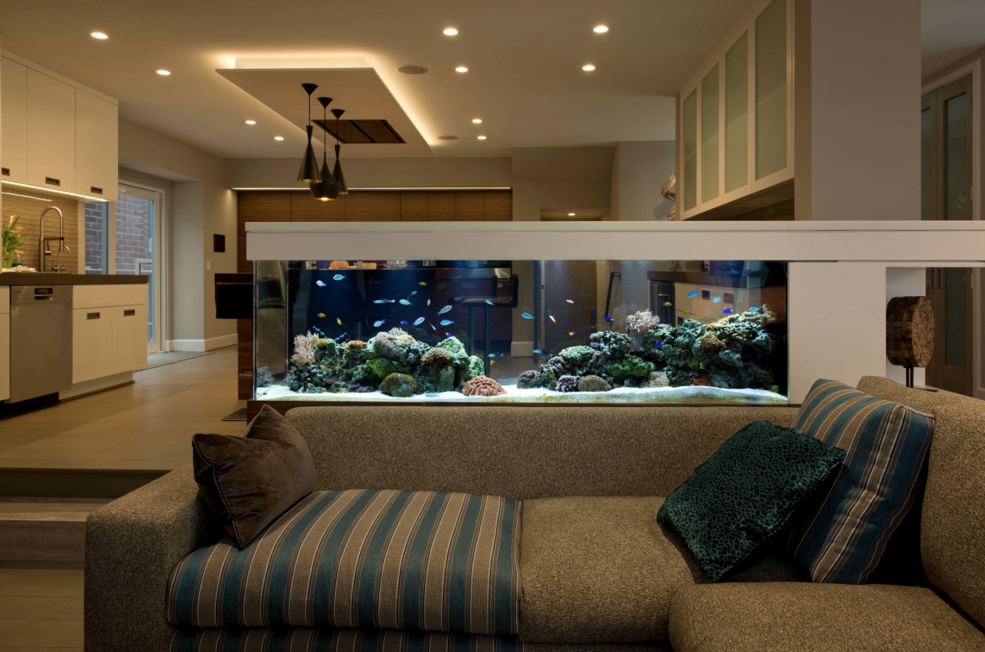 Home Aquarium - The Live Art from Your Room