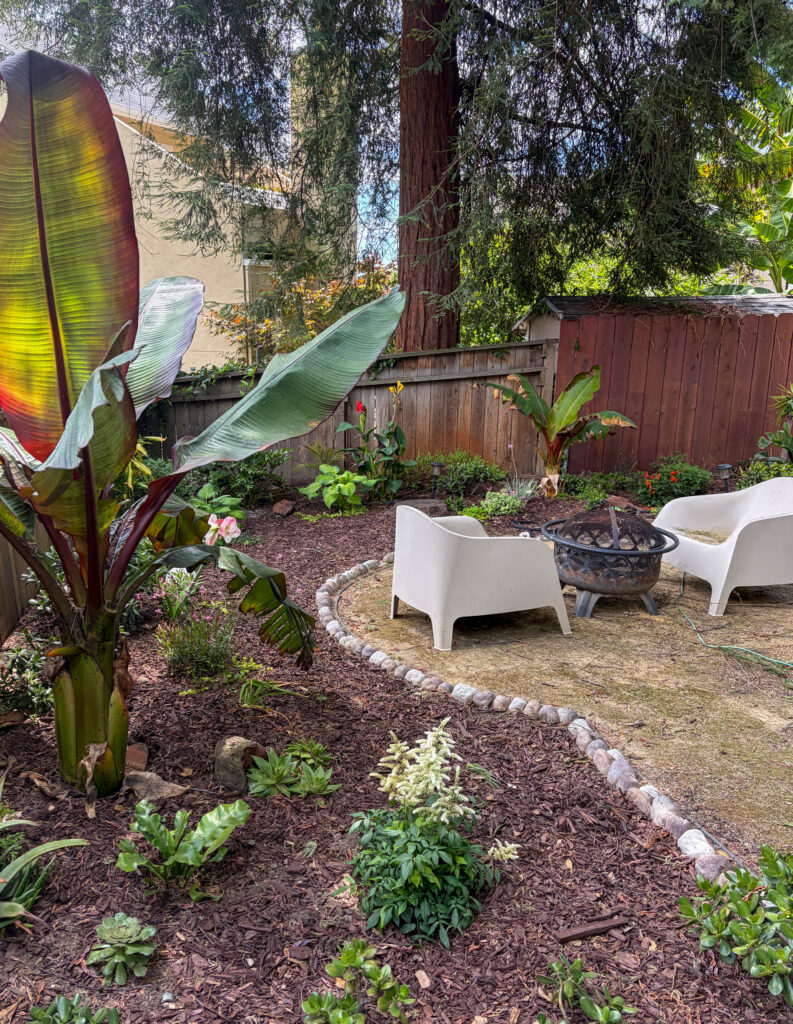 How I Built a Lush Backyard Perimeter Over Time | xoxojackie blog