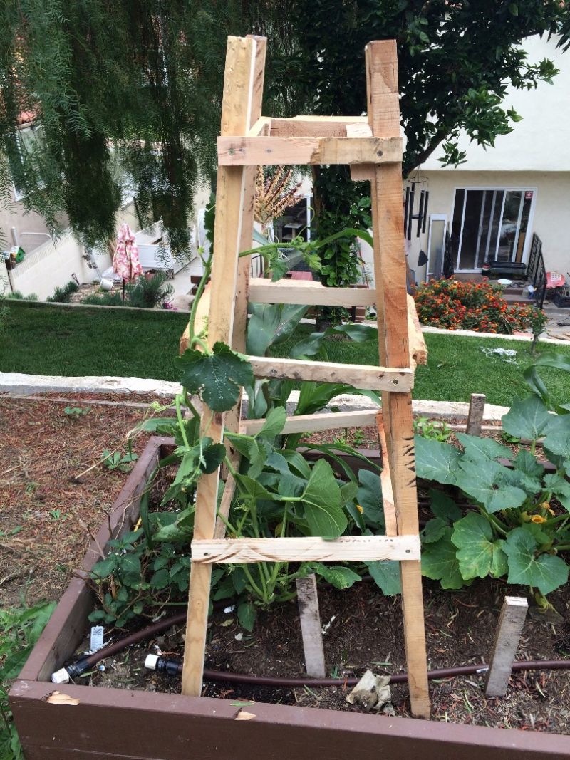 How To Build A Garden Trellis From Start To Finish