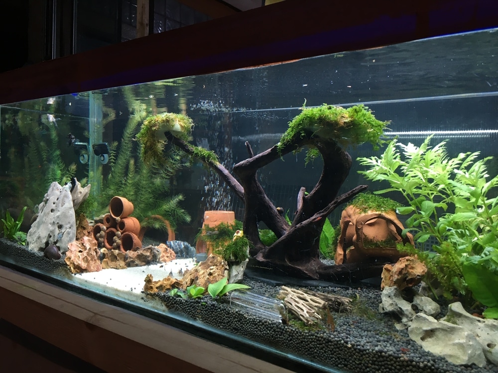 Innovative Acrylic Fountains and Fish Tanks: Enhancing Home