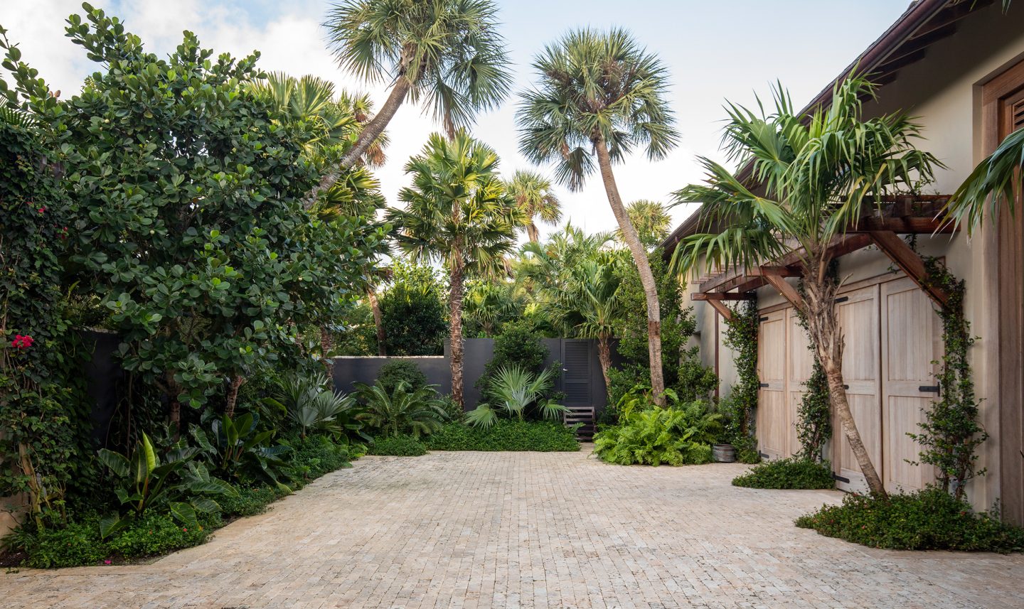 Iroko | Raymond Jungles, Inc.