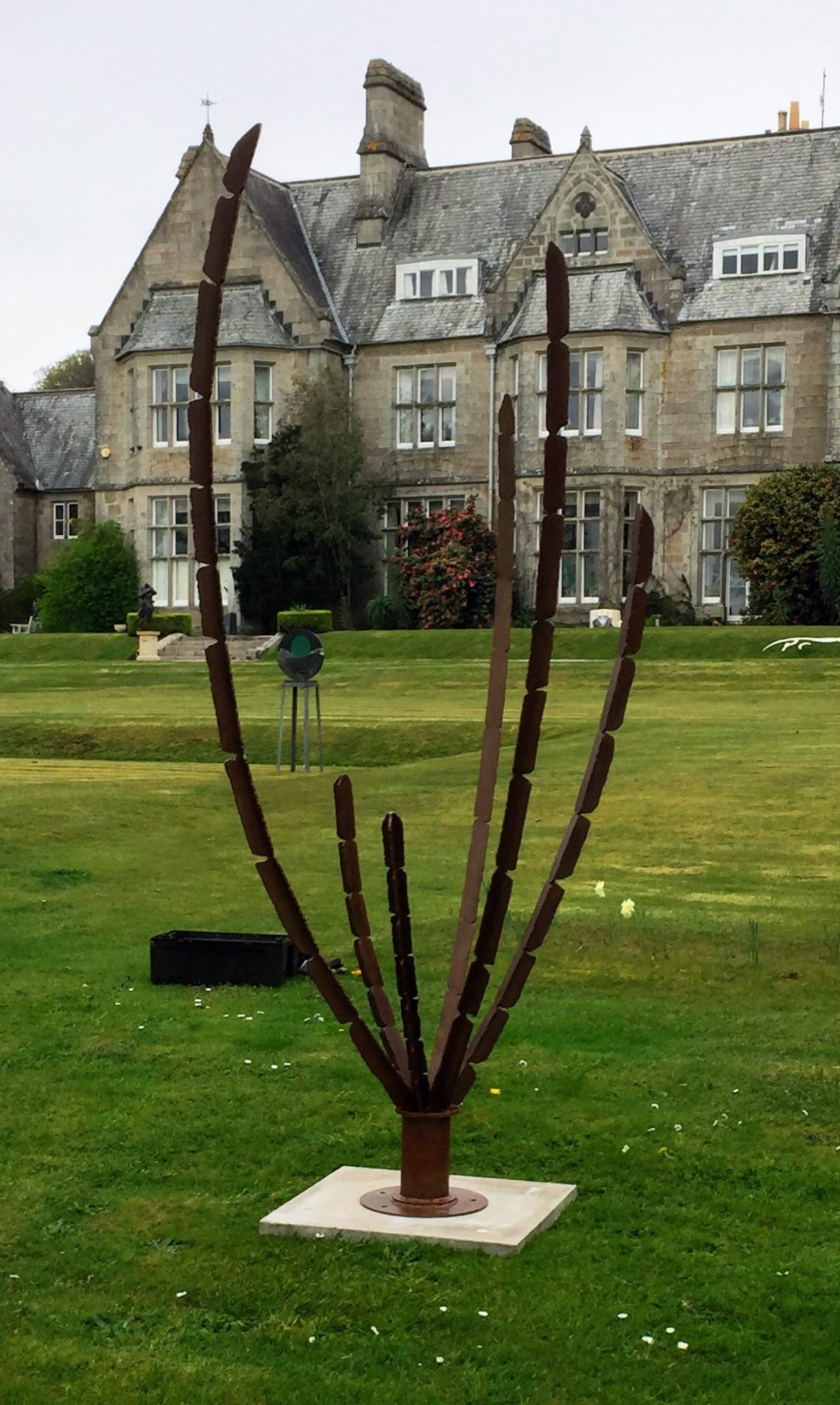 Large Metal Cactus Plant Garden Sculpture - Euphorbia Ferrum (Iron Euphorbia) by Noah Taylor (Unique) - The Sculpture Park