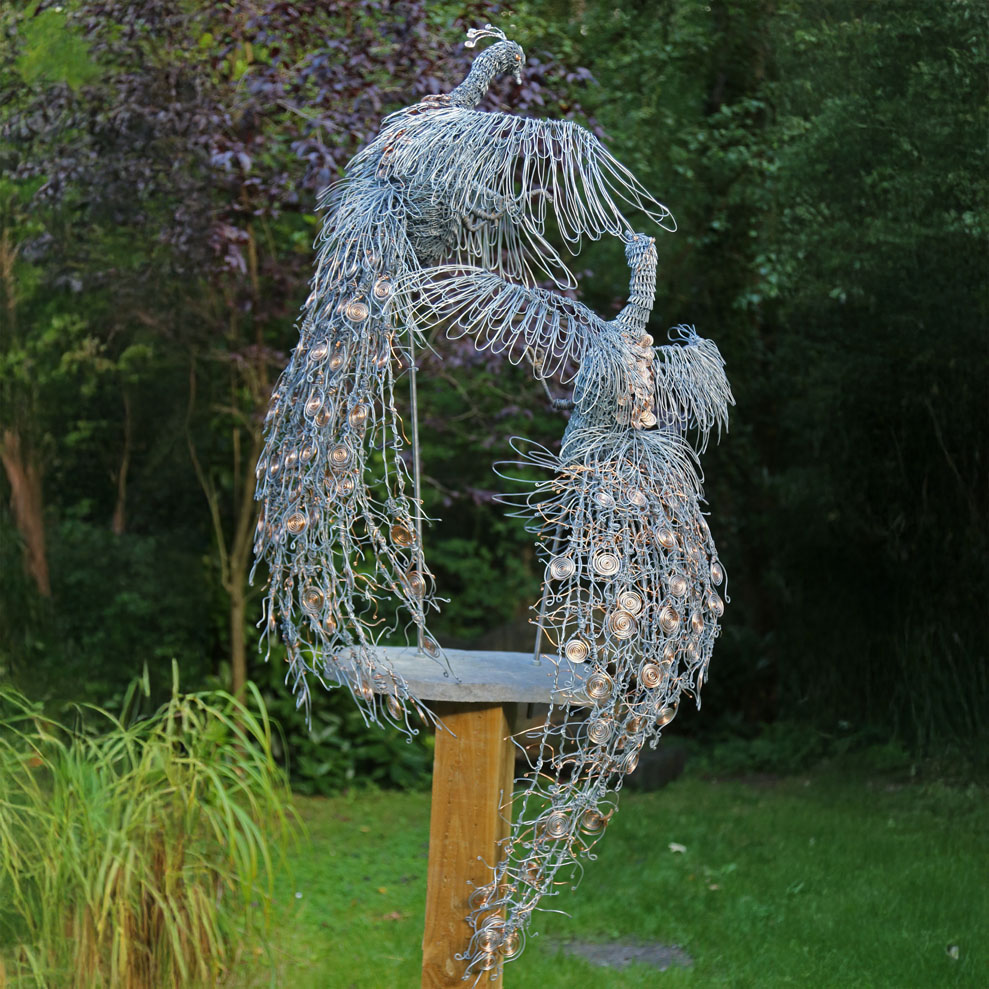 Lifesize Metal Wire Bird Sculpture - Fighting Peacocks by Gill Holland (Unique) - The Sculpture Park