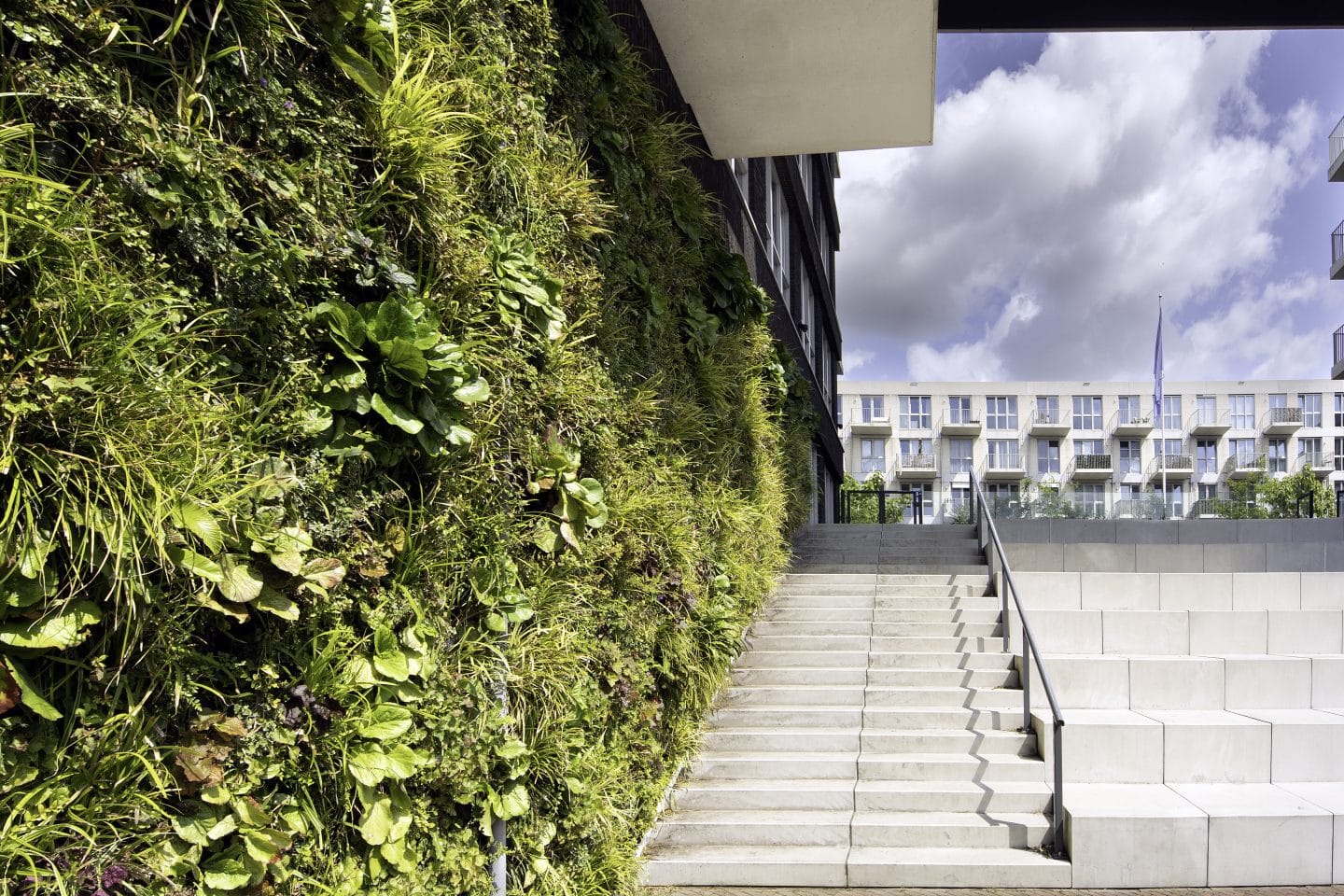 Living walls | Vertical green facade systems by Sempergreen
