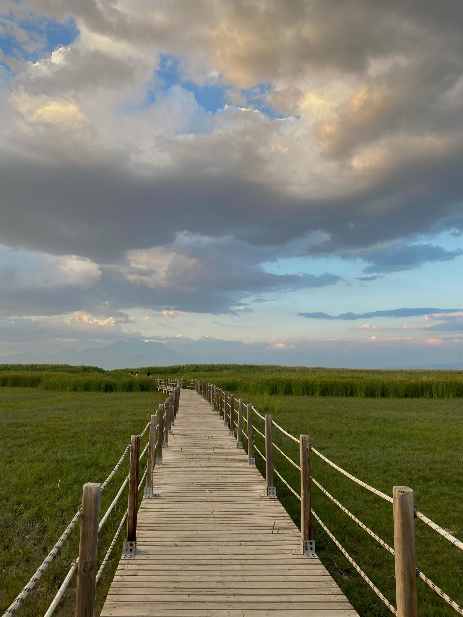 Long wooden boardwalk through lush grassland under dramatic sky.