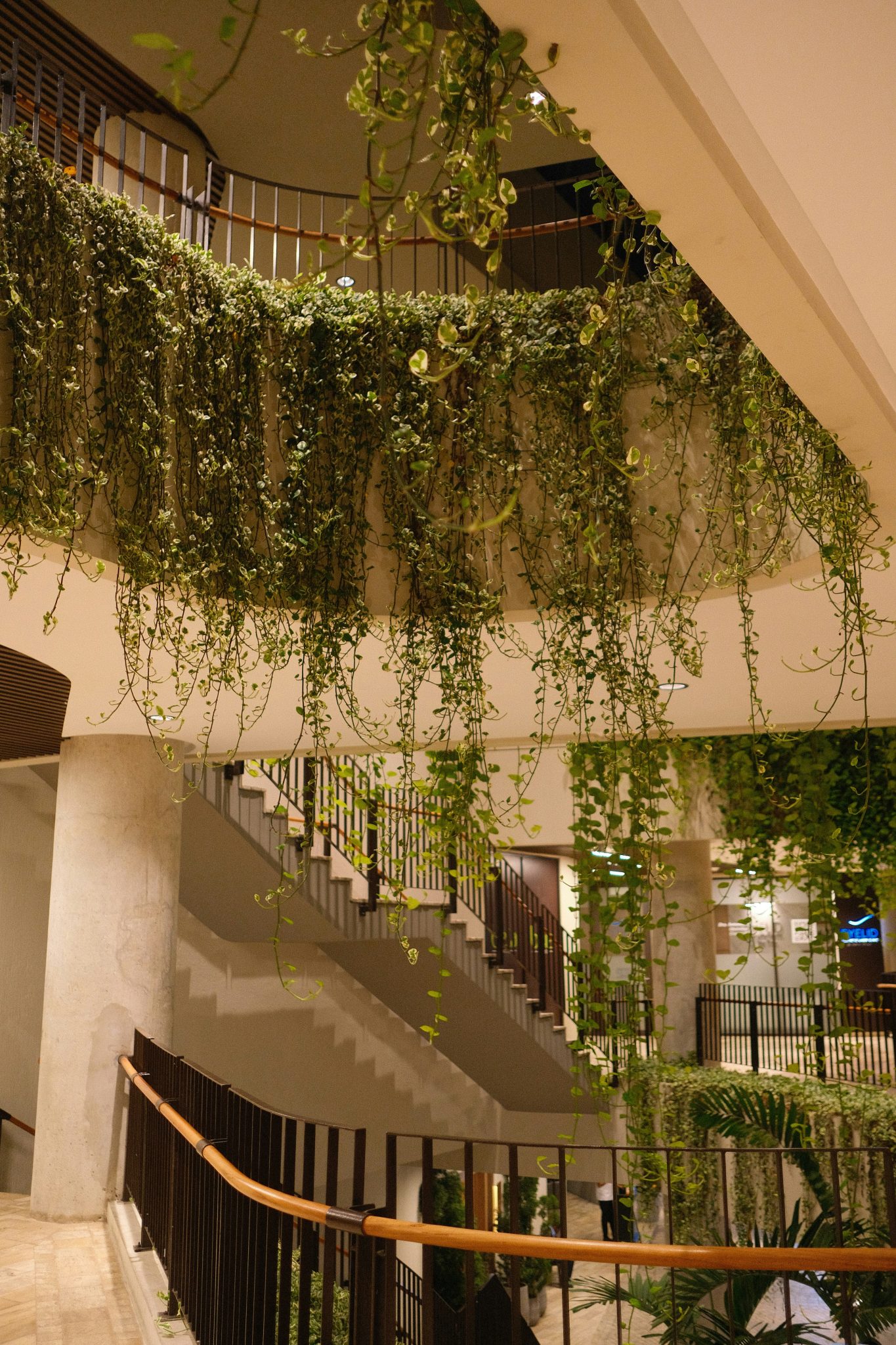 Lush green vines cascade down a multi-level indoor staircase.