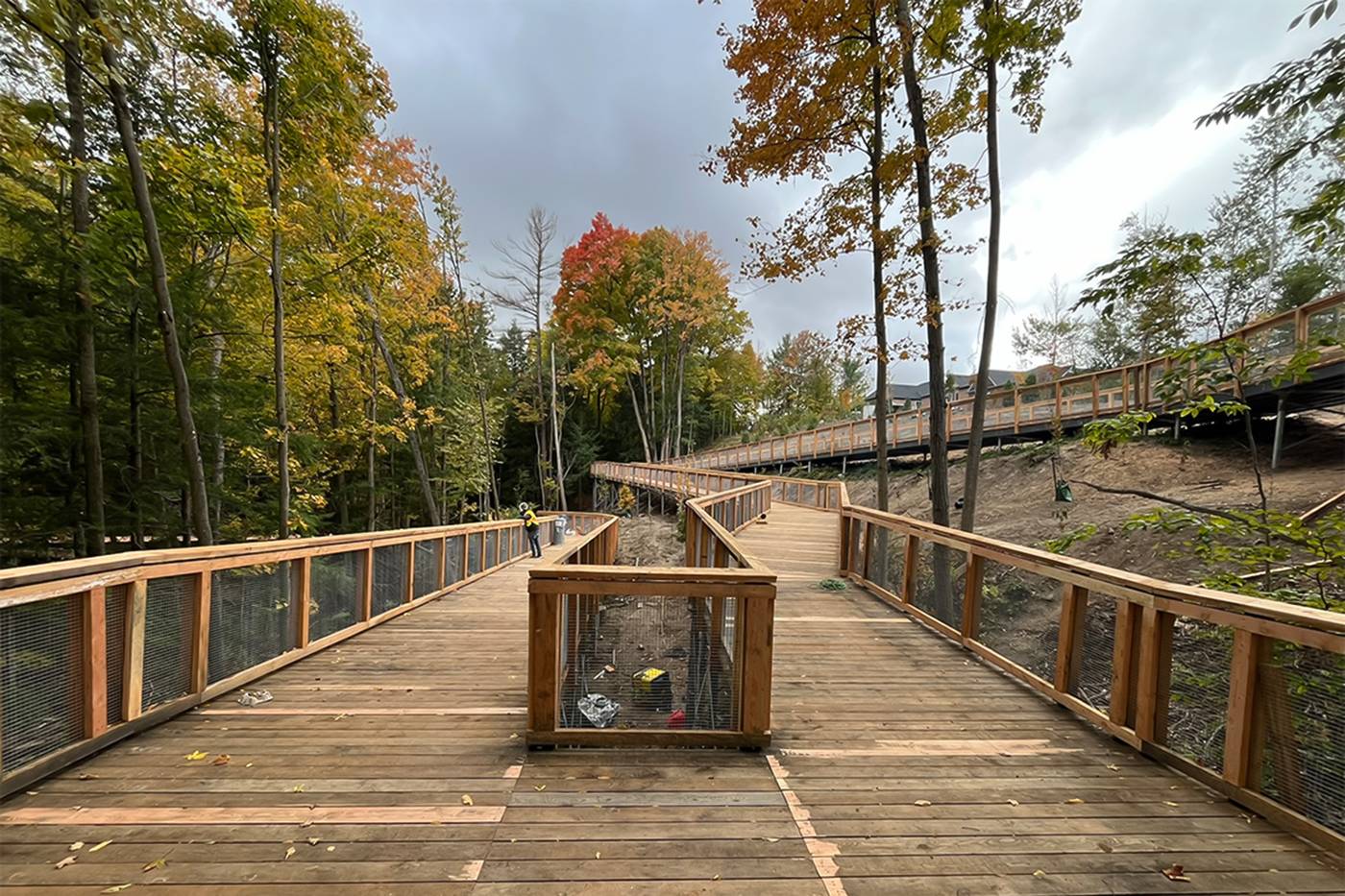 New Ontario trail has a four-storey boardwalk to explore the forest