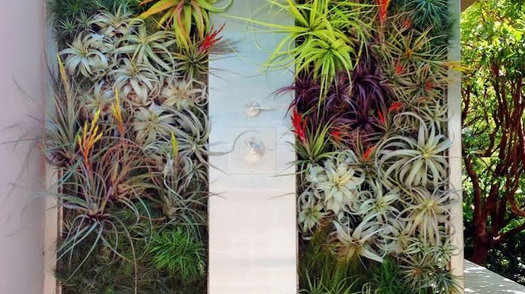 Outdoor Shower Surrounded by Living Walls | HGTV