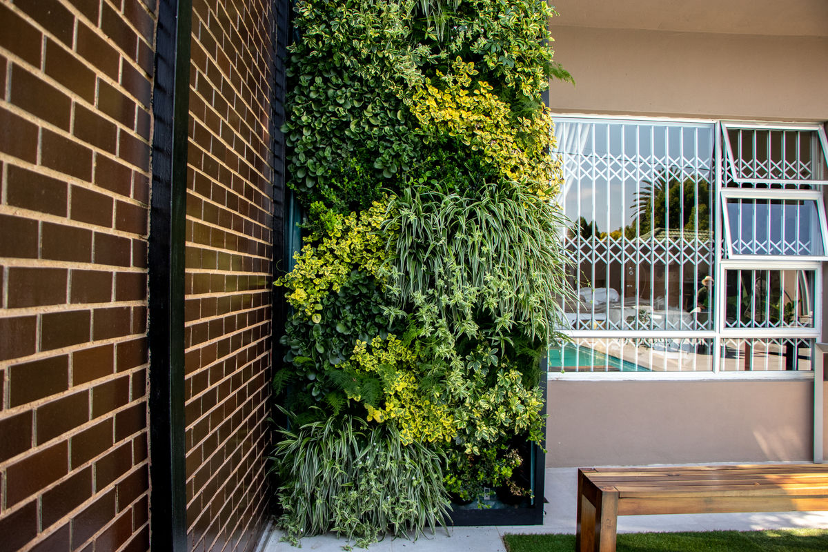 Outdoor Vertical Garden around Pool Wall | homify