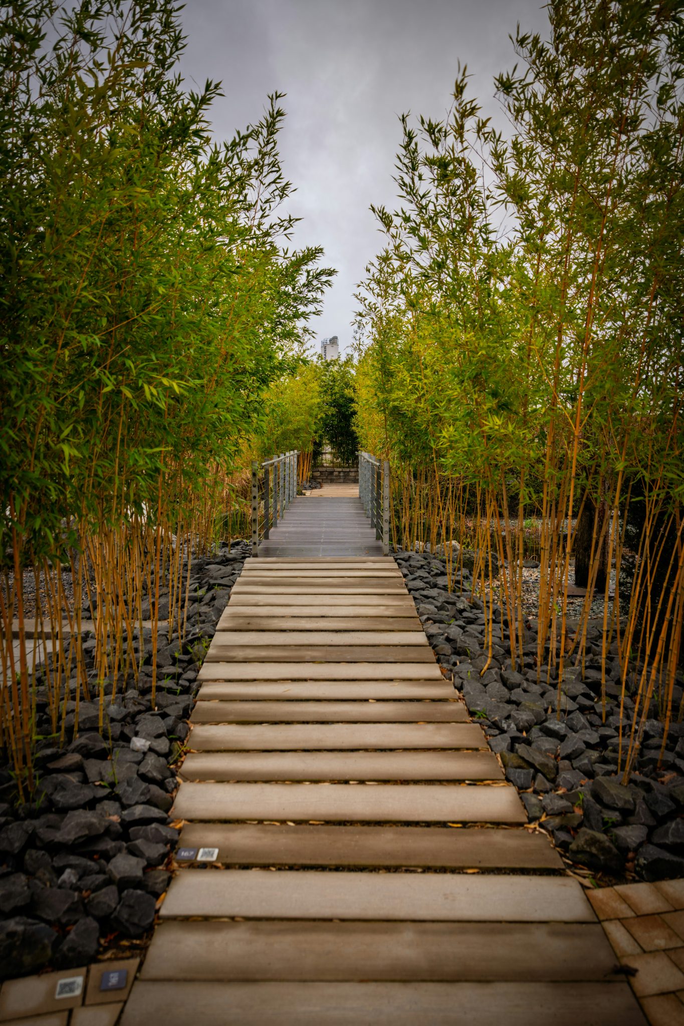 Pathway through a bamboo garden with a bridge