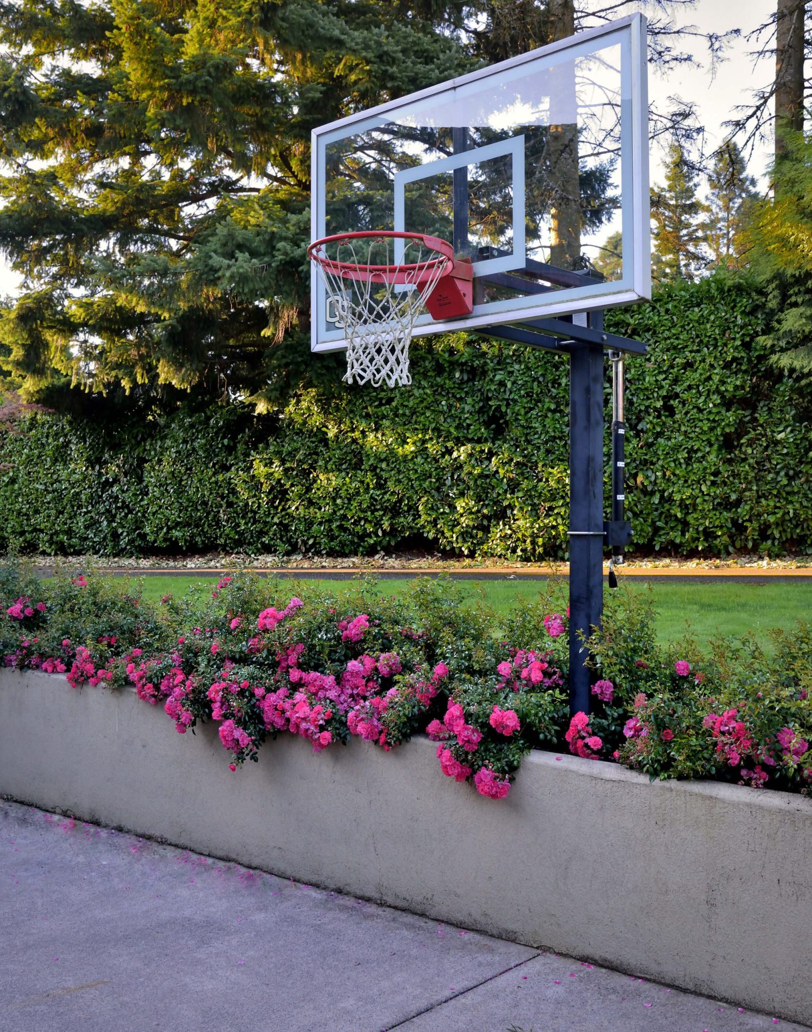 Portland Backyard Sports Court Design and Construction | Athletic Courts | Drake's 7 Dees
