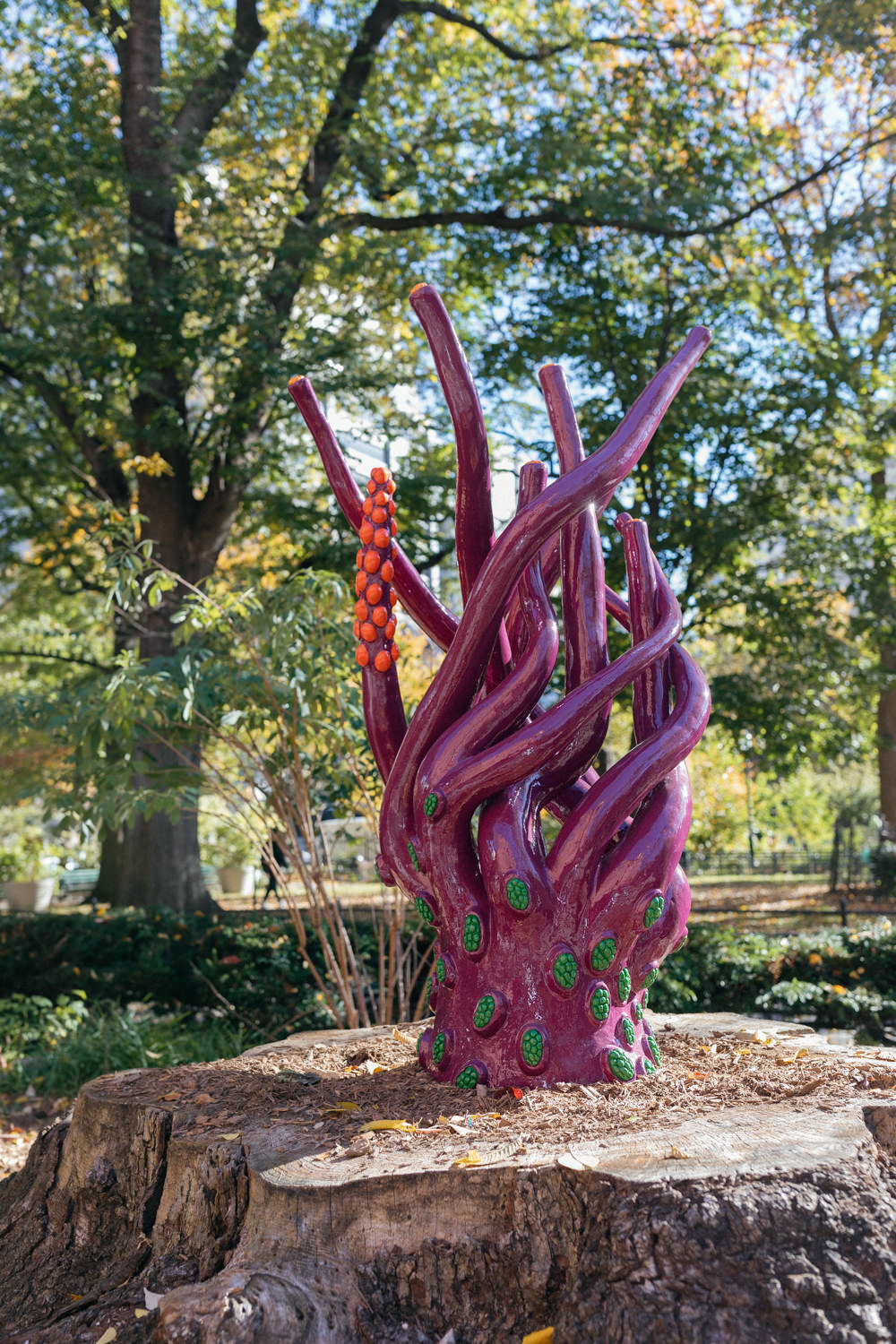 Press | Judith Modrak | NYC Sculptor & Installation Artist | SciArt