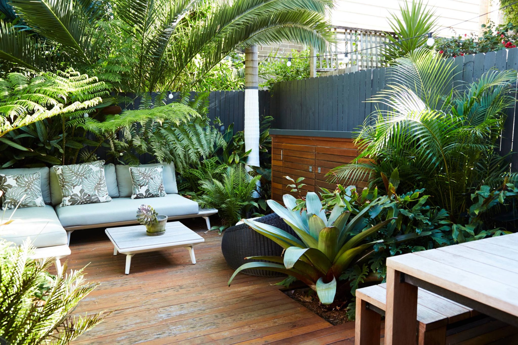 Room of the Week: A Lush, Tropical Garden That Has it All | Houzz NZ