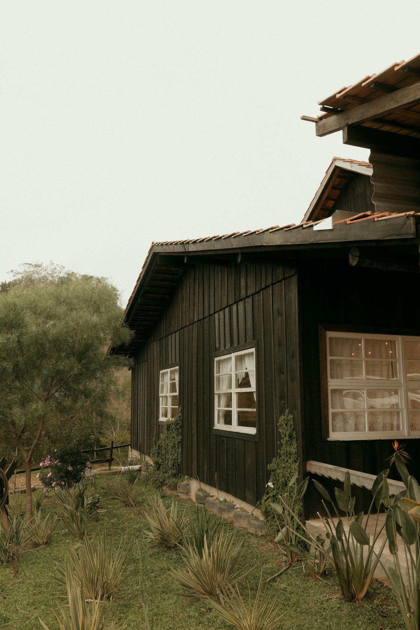 Rustic dark wooden house surrounded by green plants.