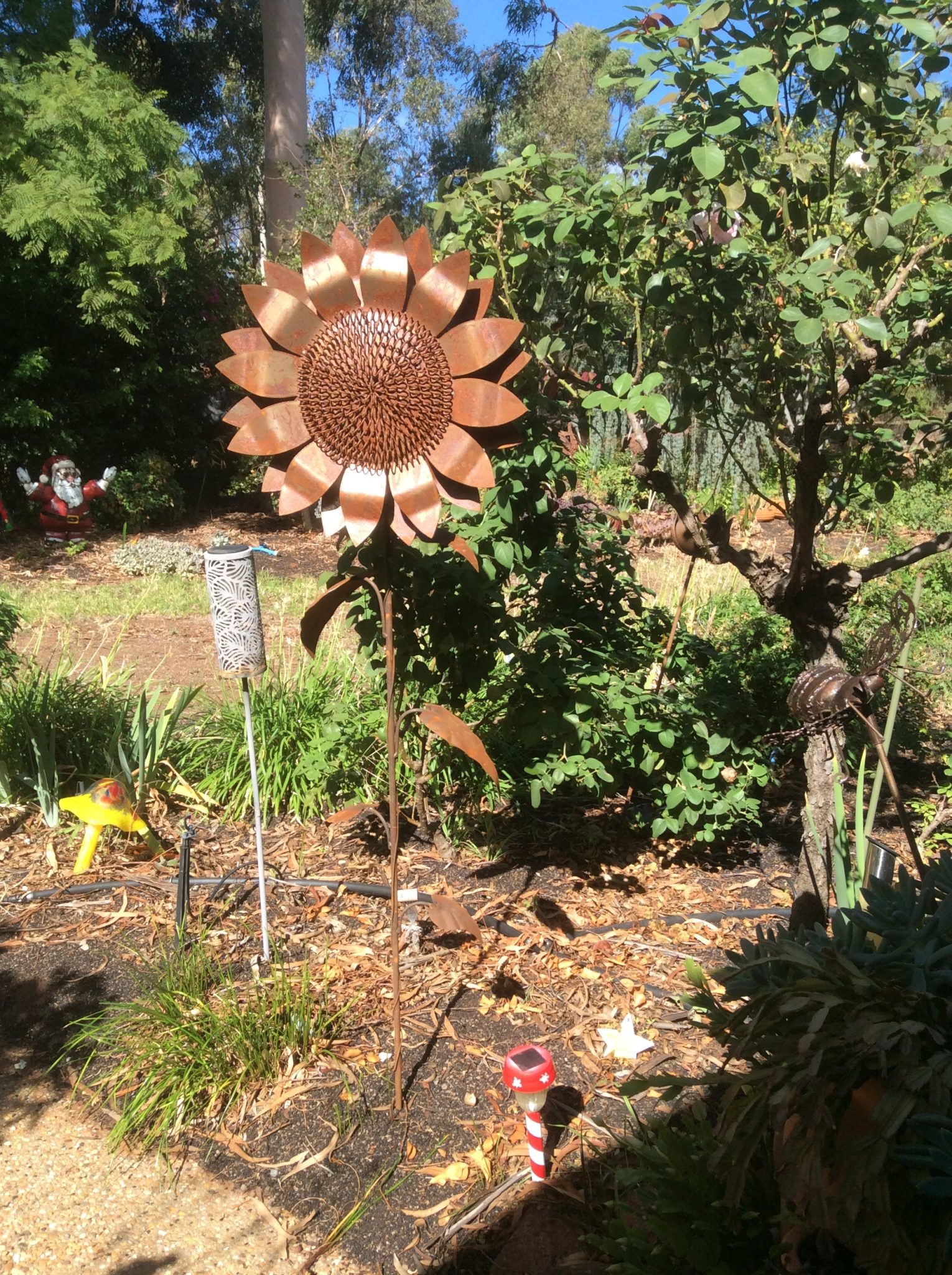 Rustic Garden Art - Large Rusty Sunflower - Faeren Designs
